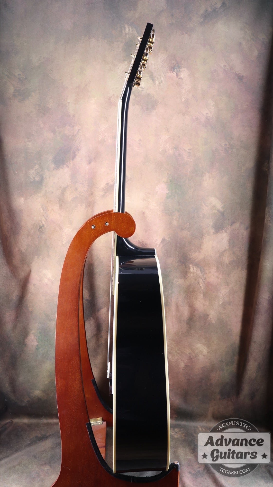 2024年製 ELVIS Dove - TC楽器 - TCGAKKI