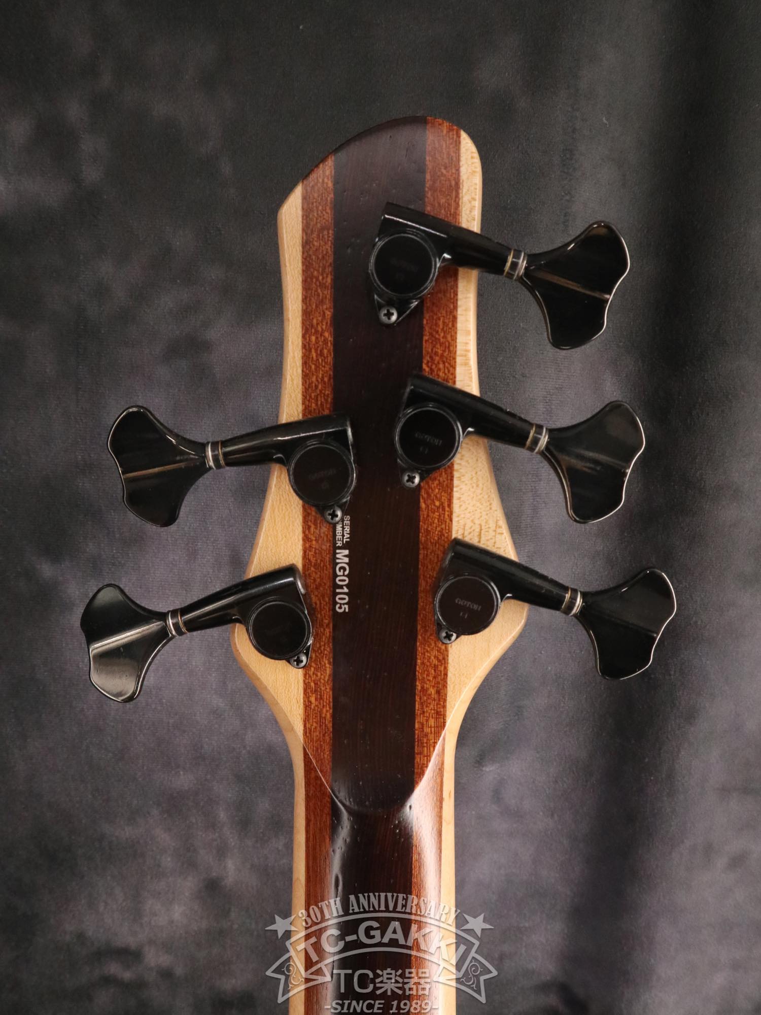 2024 Extreman 5 Strings - TC楽器 - TCGAKKI