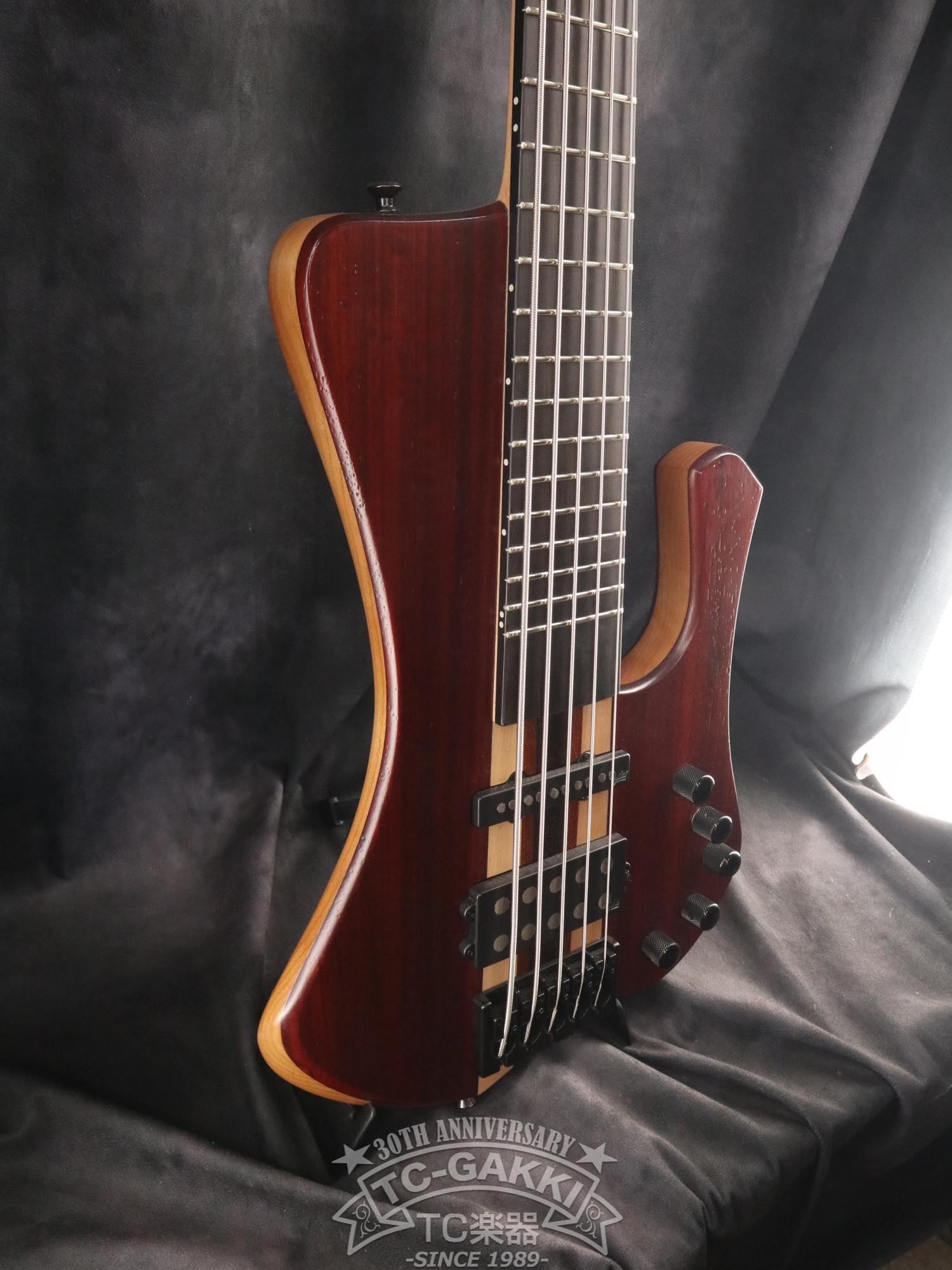 2024 Extreman 5 Strings - TC楽器 - TCGAKKI