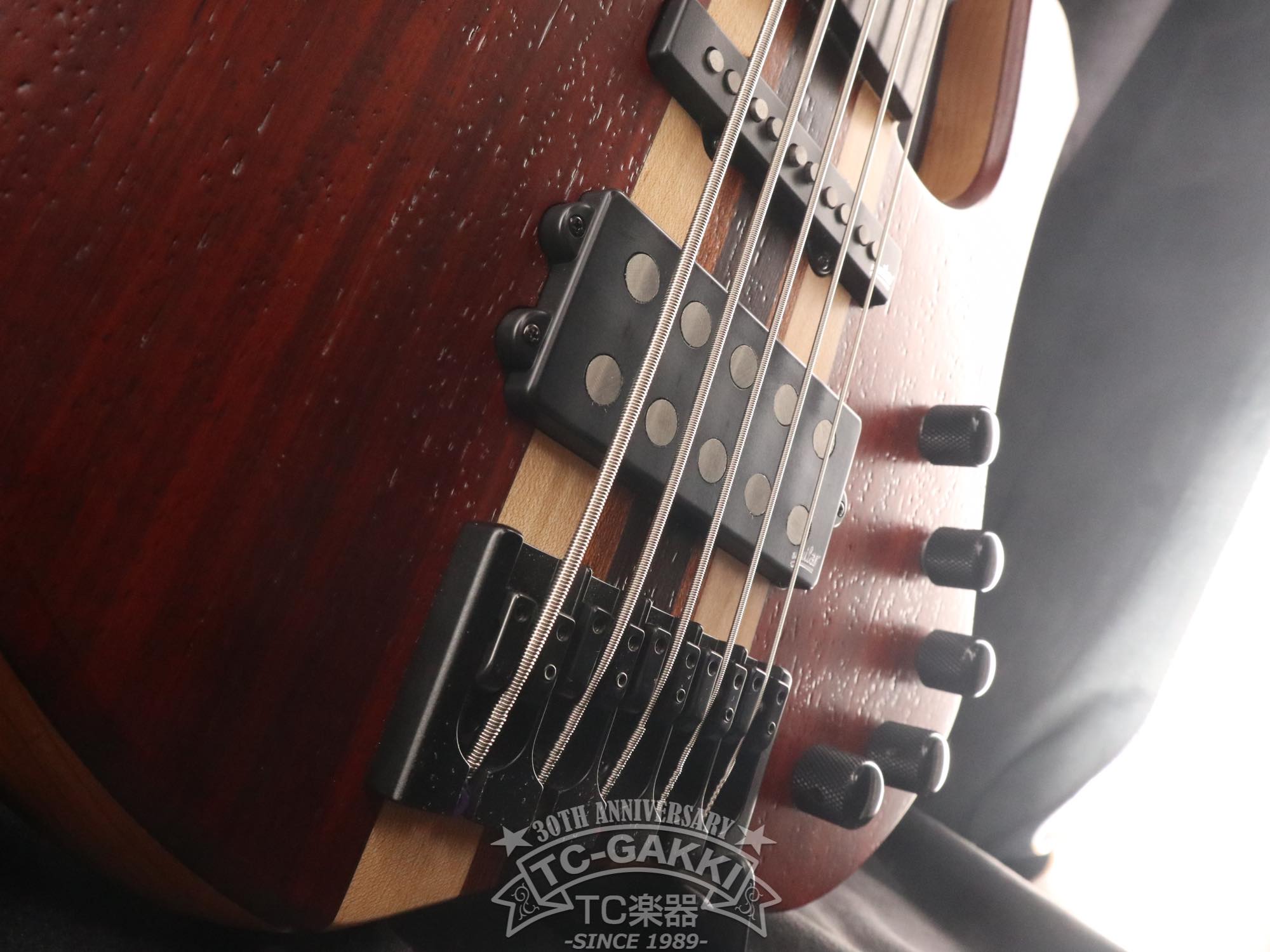 2024 Extreman 5 Strings - TC楽器 - TCGAKKI