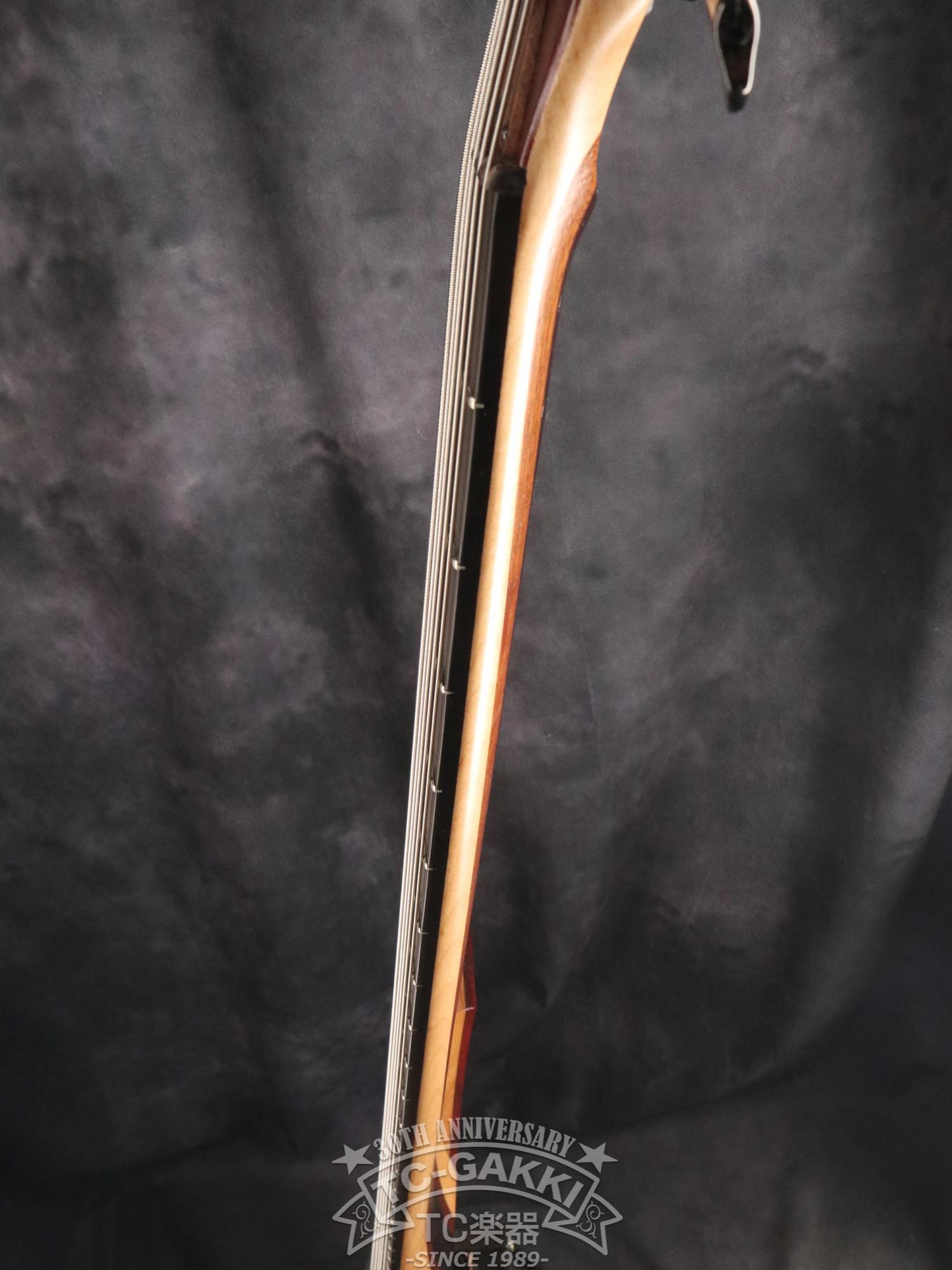 2024 Extreman 5 Strings - TC楽器 - TCGAKKI