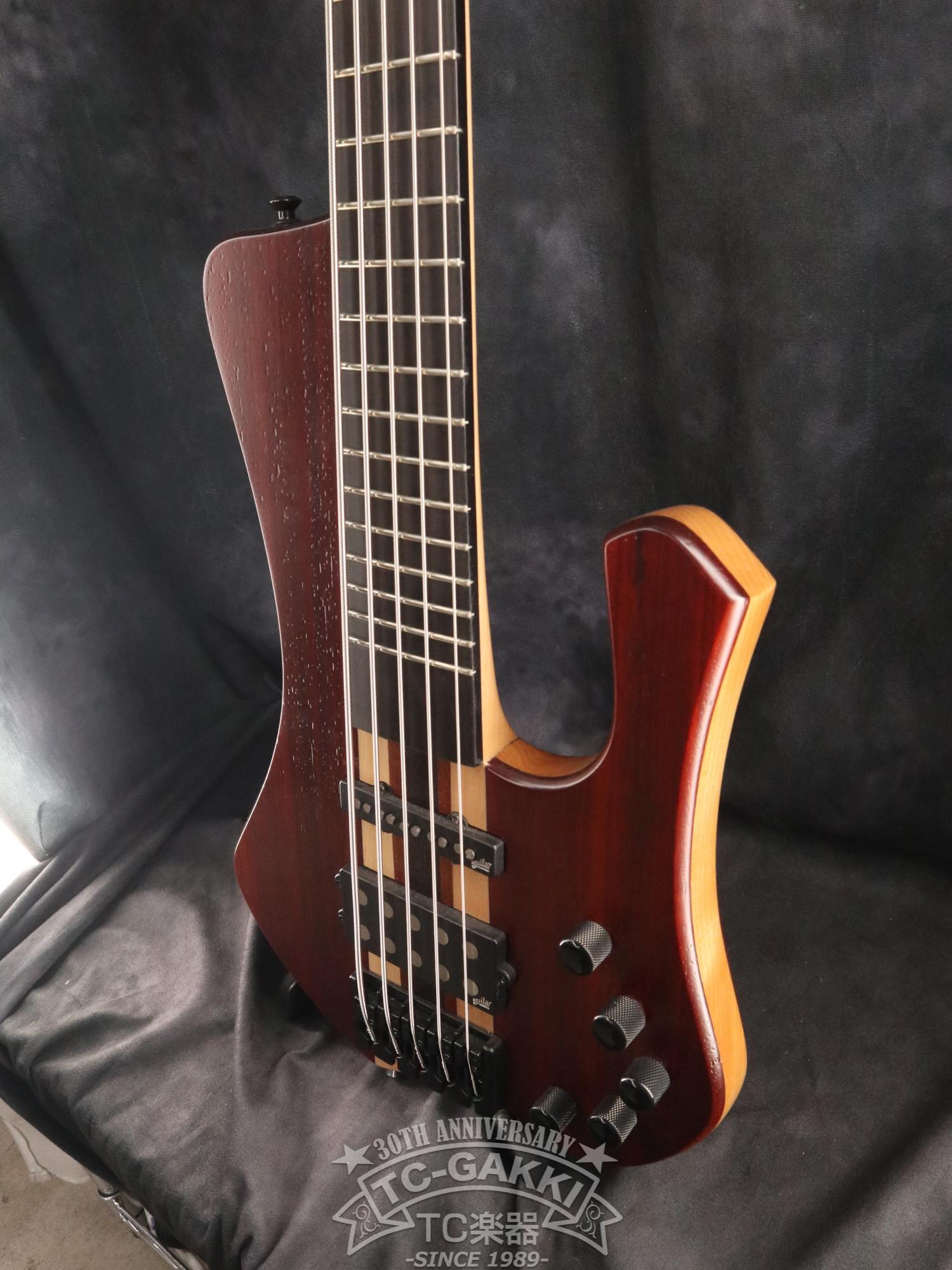 2024 Extreman 5 Strings - TC楽器 - TCGAKKI