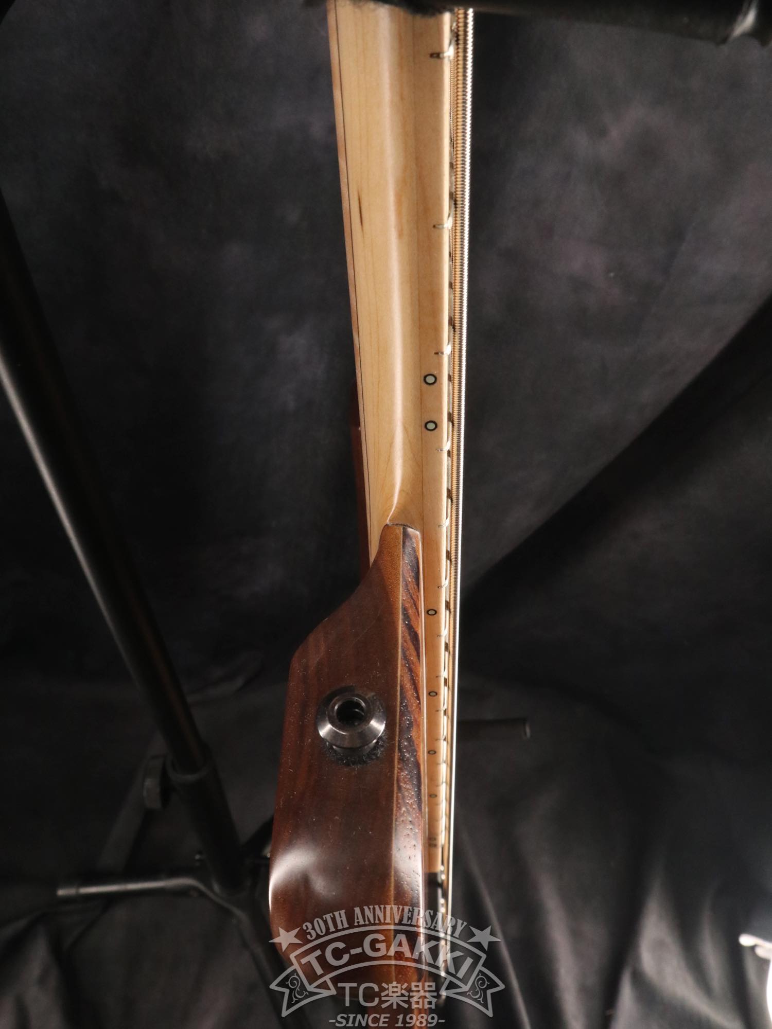 2024 Extreman headless 5 - TC楽器 - TCGAKKI