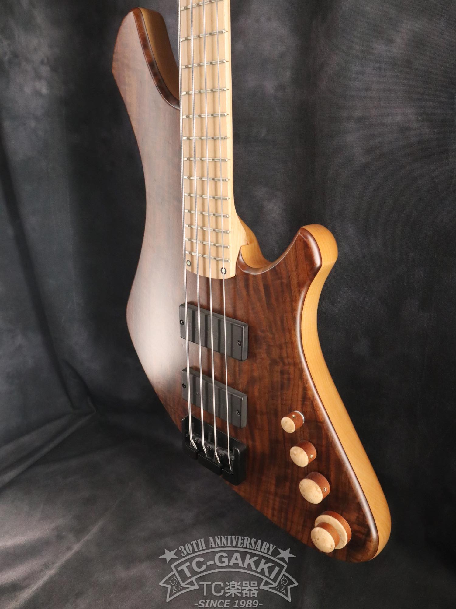 2024 Infinity 4 strings NAMM edition 2024 - TC楽器 - TCGAKKI