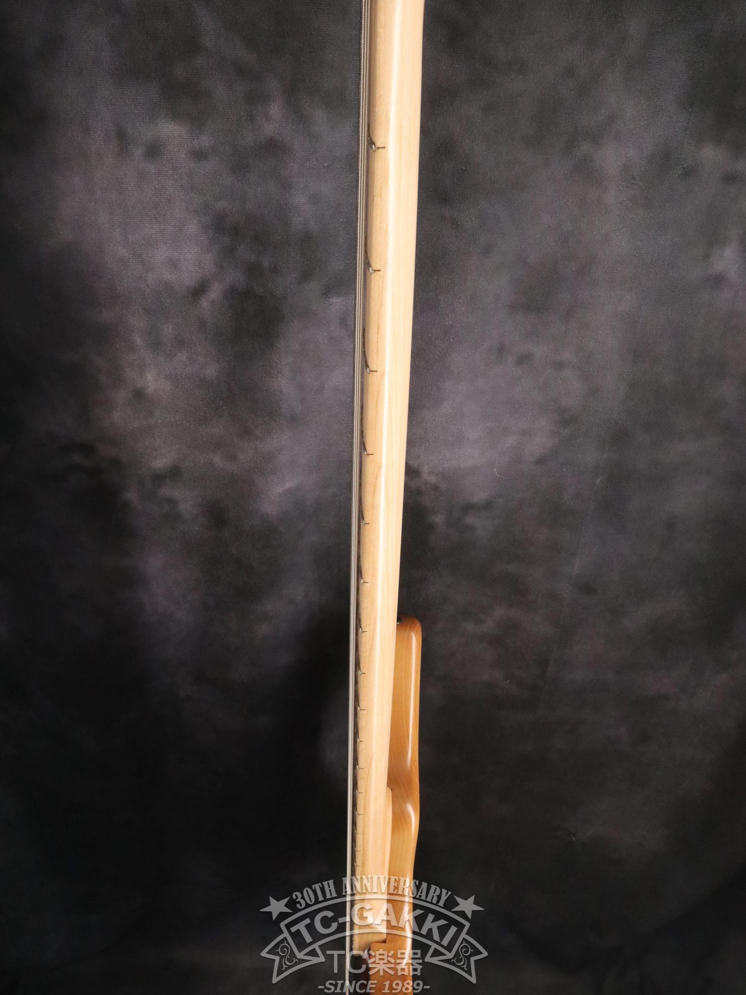 2024 Infinity 4 strings NAMM edition 2024 - TC楽器 - TCGAKKI