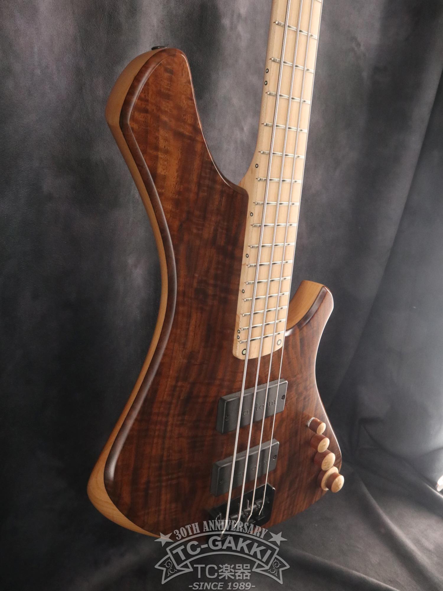 2024 Infinity 4 strings NAMM edition 2024 - TC楽器 - TCGAKKI