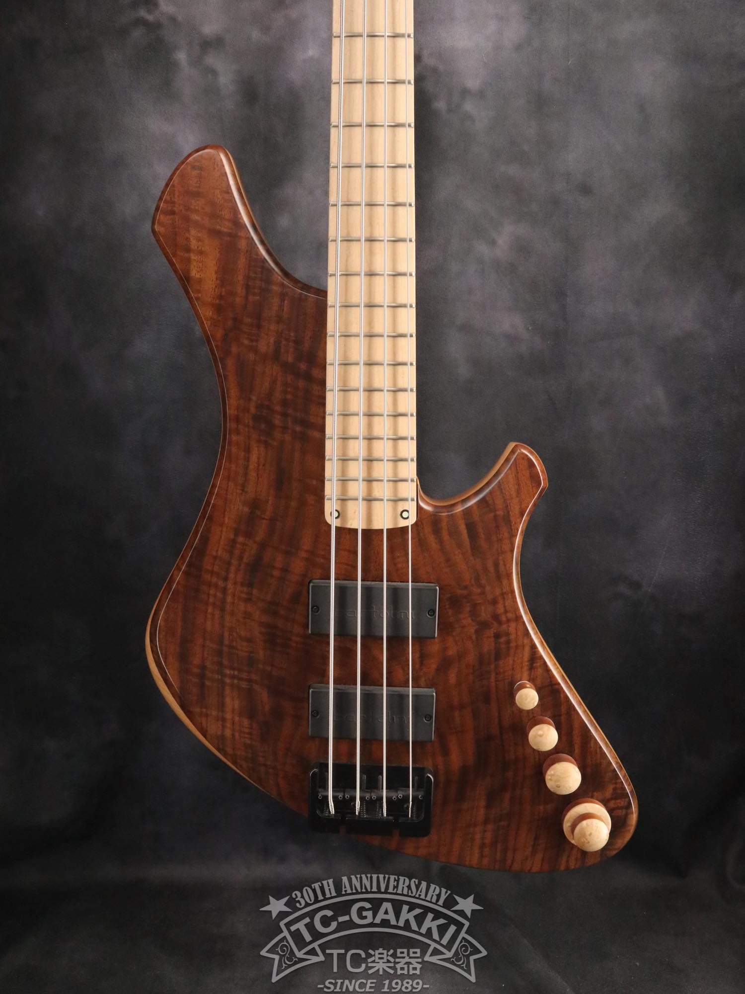 Infinity String Plus Infinity 2024 Infinity 4 strings NAMM edition 2024