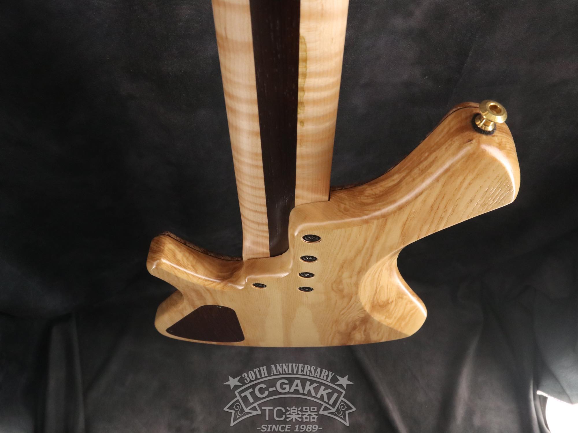 2024 Infinity 5 Strings - TC楽器 - TCGAKKI