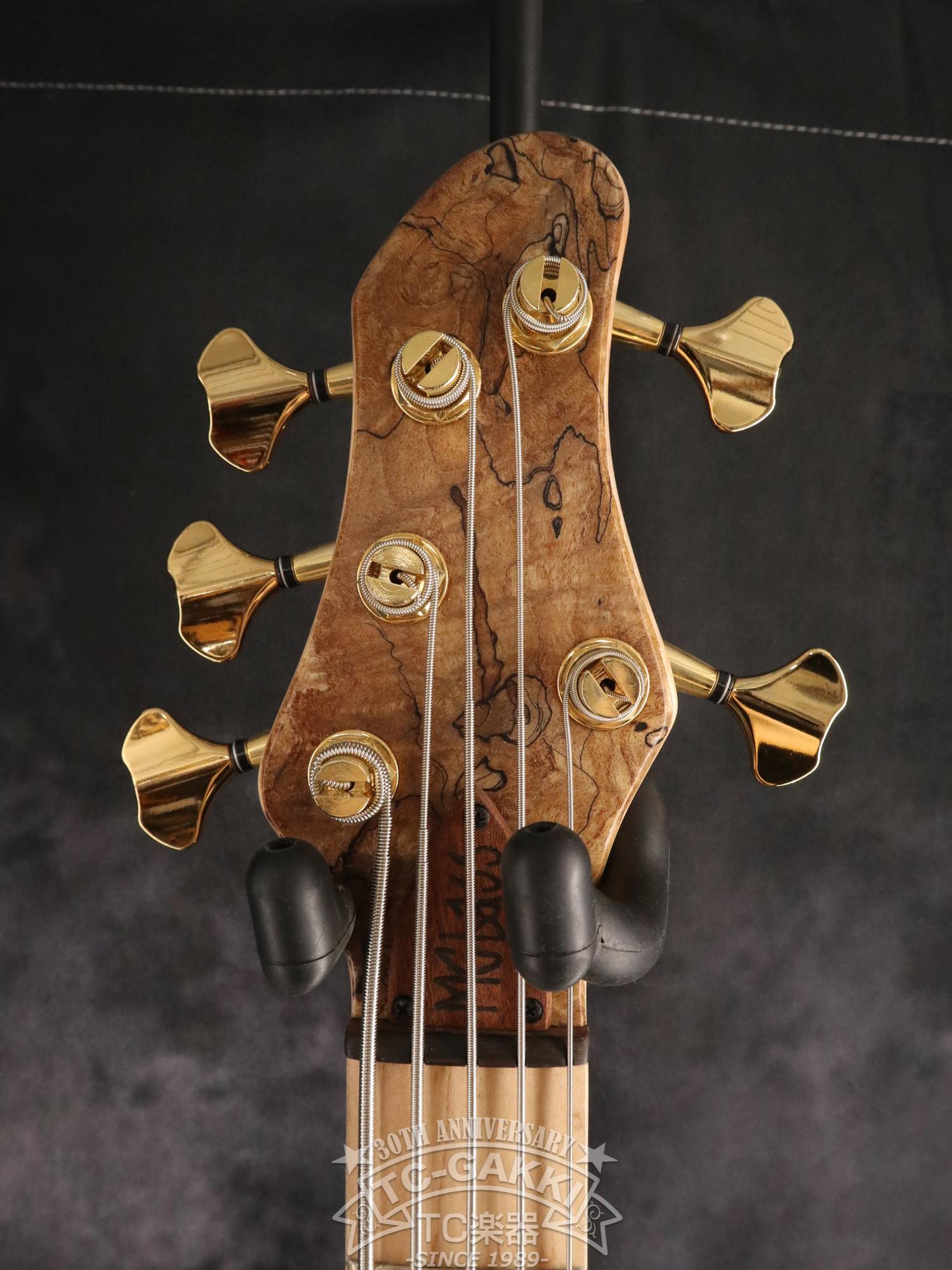 2024 Infinity 5 Strings - TC楽器 - TCGAKKI