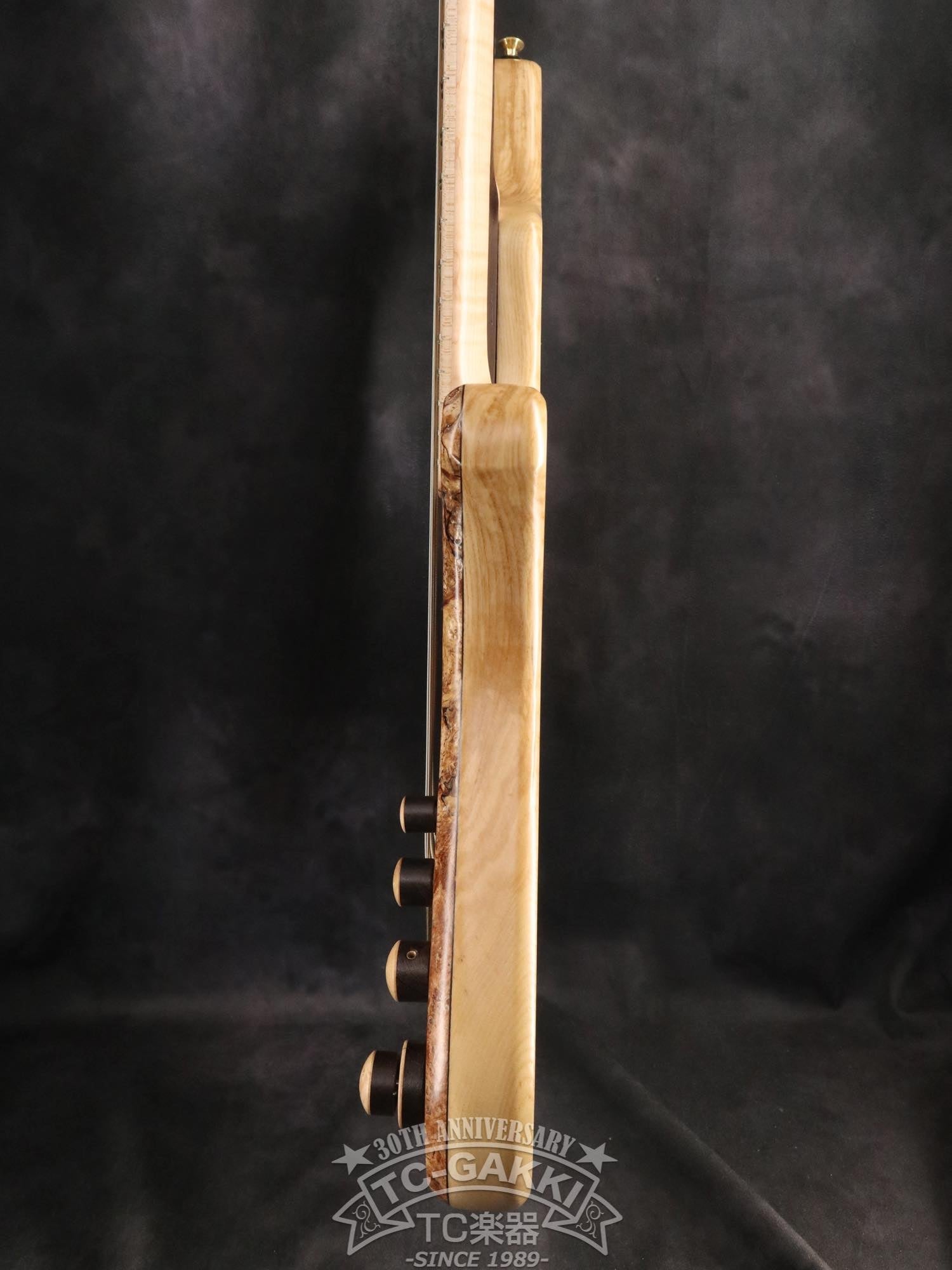 2024 Infinity 5 Strings - TC楽器 - TCGAKKI