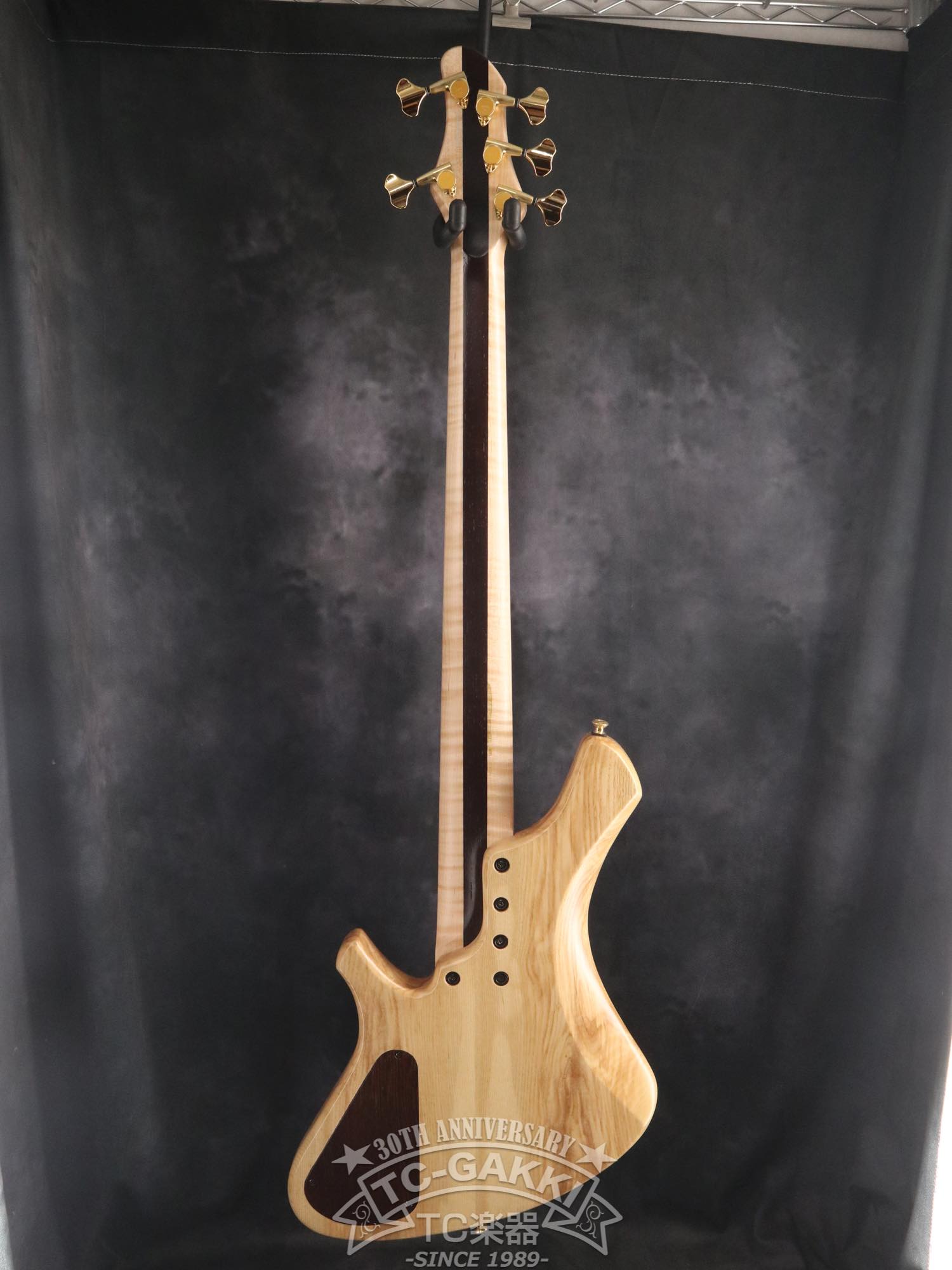 2024 Infinity 5 Strings - TC楽器 - TCGAKKI