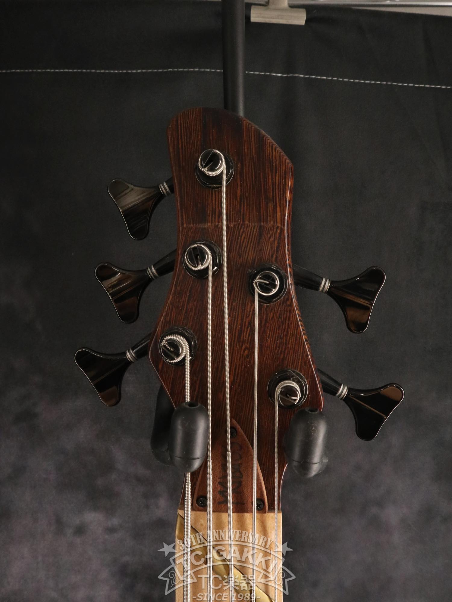 2024 Infinity Rockbird 5 strings - TC楽器 - TCGAKKI