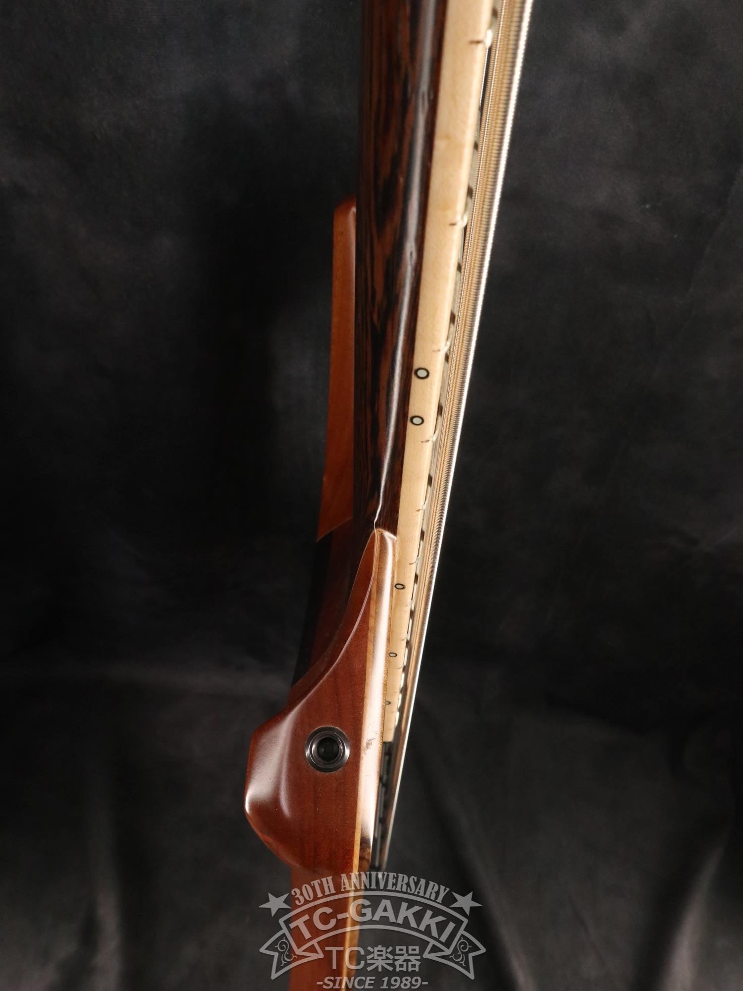 2024 Infinity Rockbird 5 strings - TC楽器 - TCGAKKI