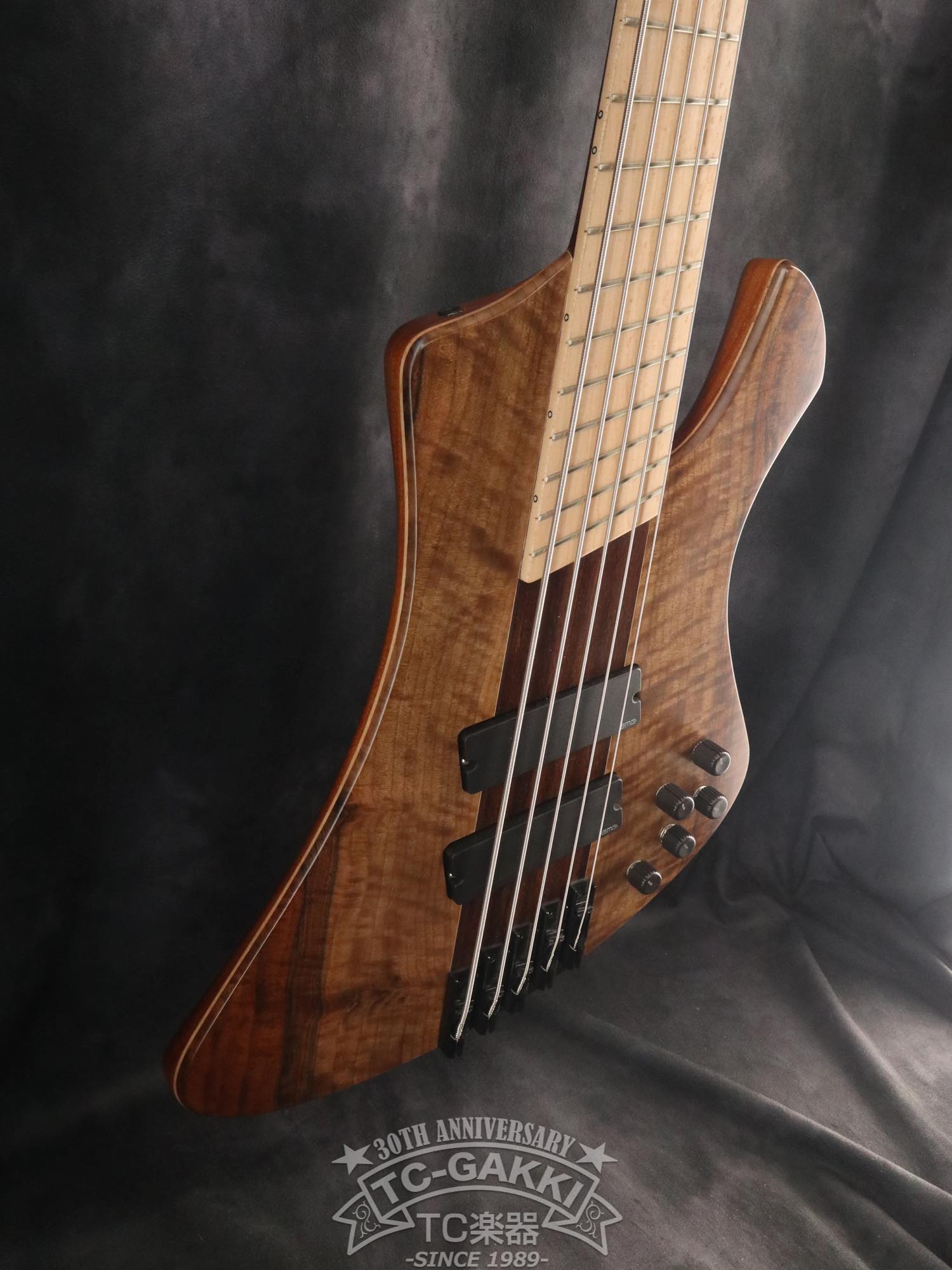 2024 Infinity Rockbird 5 strings - TC楽器 - TCGAKKI