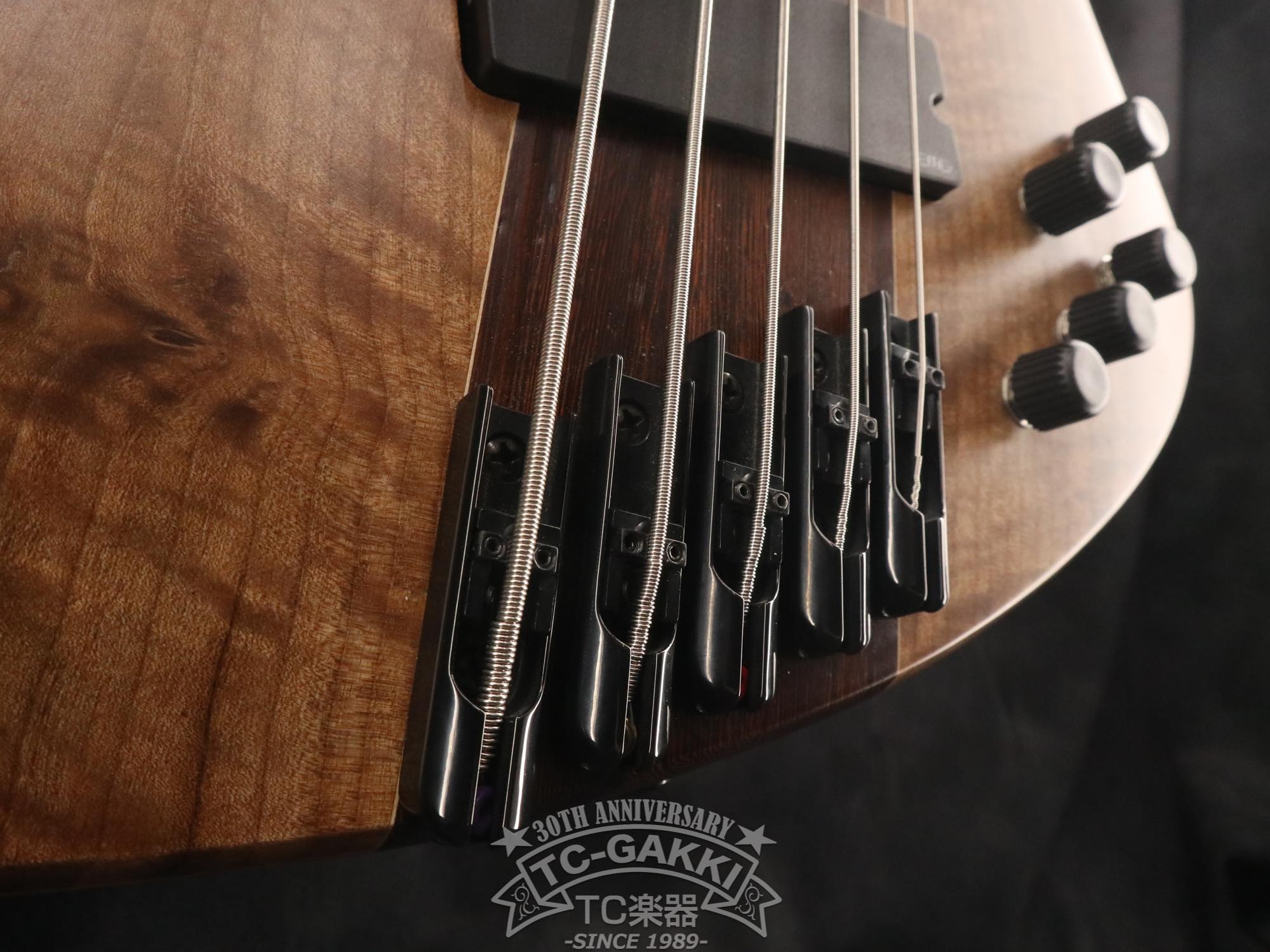 2024 Infinity Rockbird 5 strings - TC楽器 - TCGAKKI