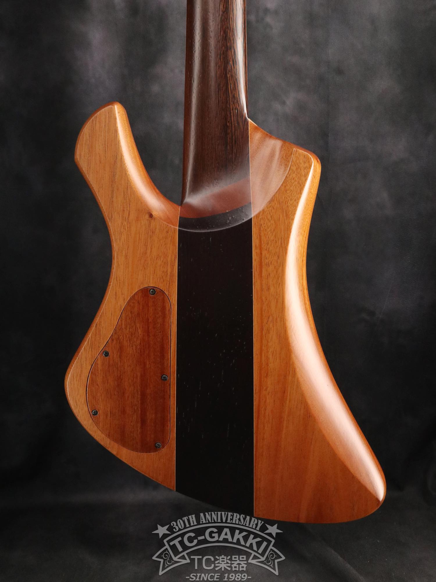 2024 Infinity Rockbird 5 strings - TC楽器 - TCGAKKI