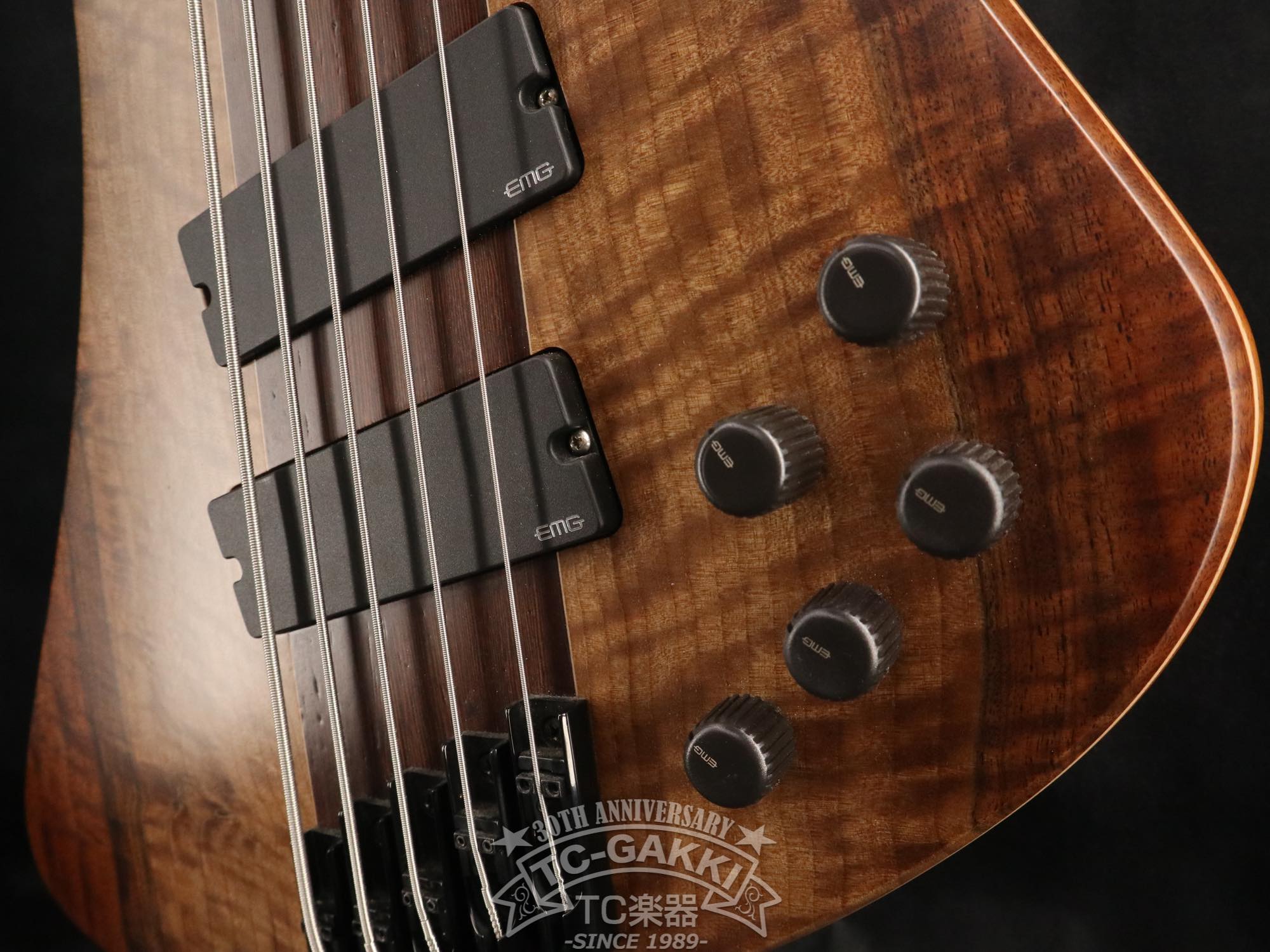 2024 Infinity Rockbird 5 strings - TC楽器 - TCGAKKI