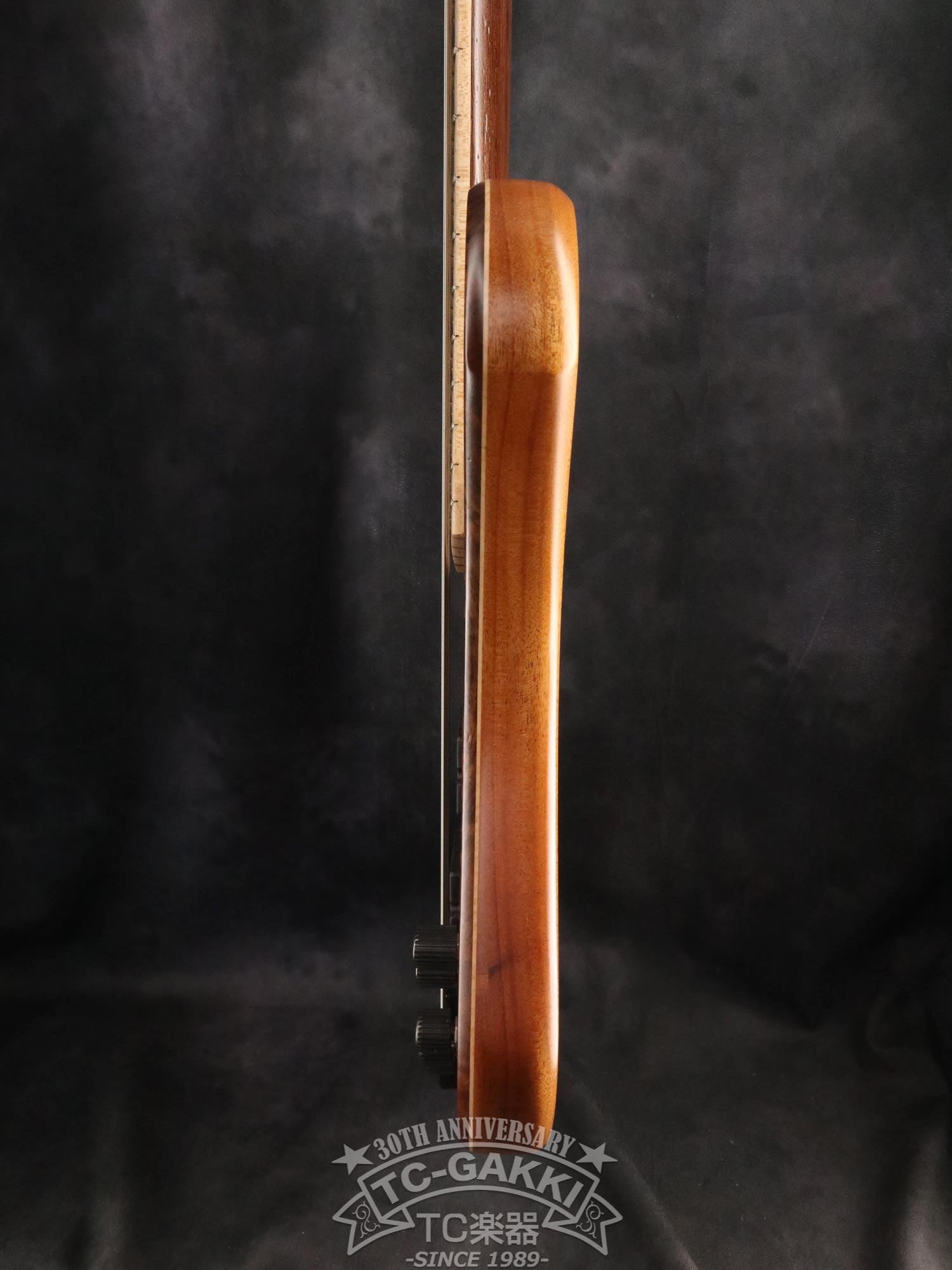 2024 Infinity Rockbird 5 strings - TC楽器 - TCGAKKI