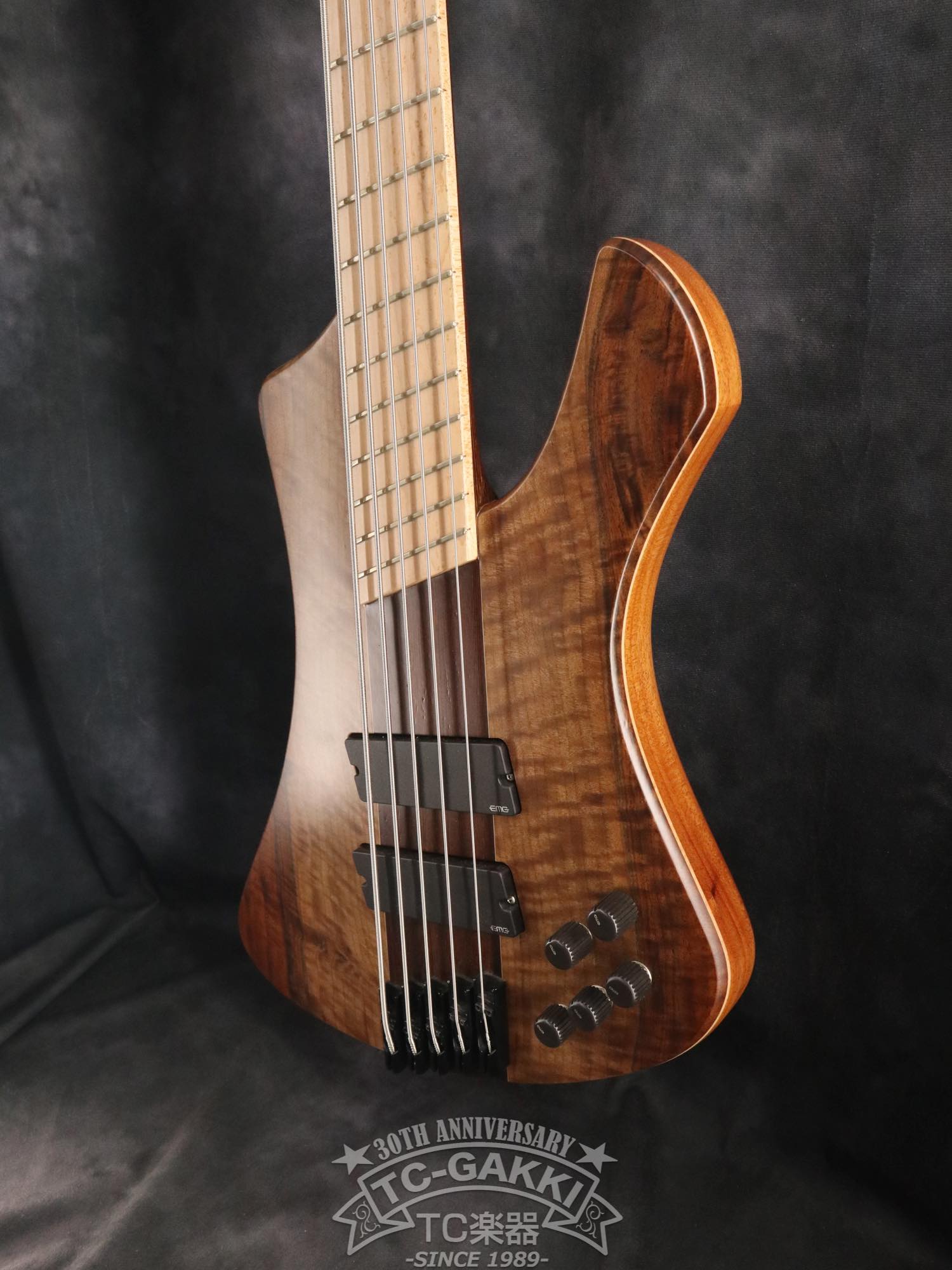 2024 Infinity Rockbird 5 strings - TC楽器 - TCGAKKI