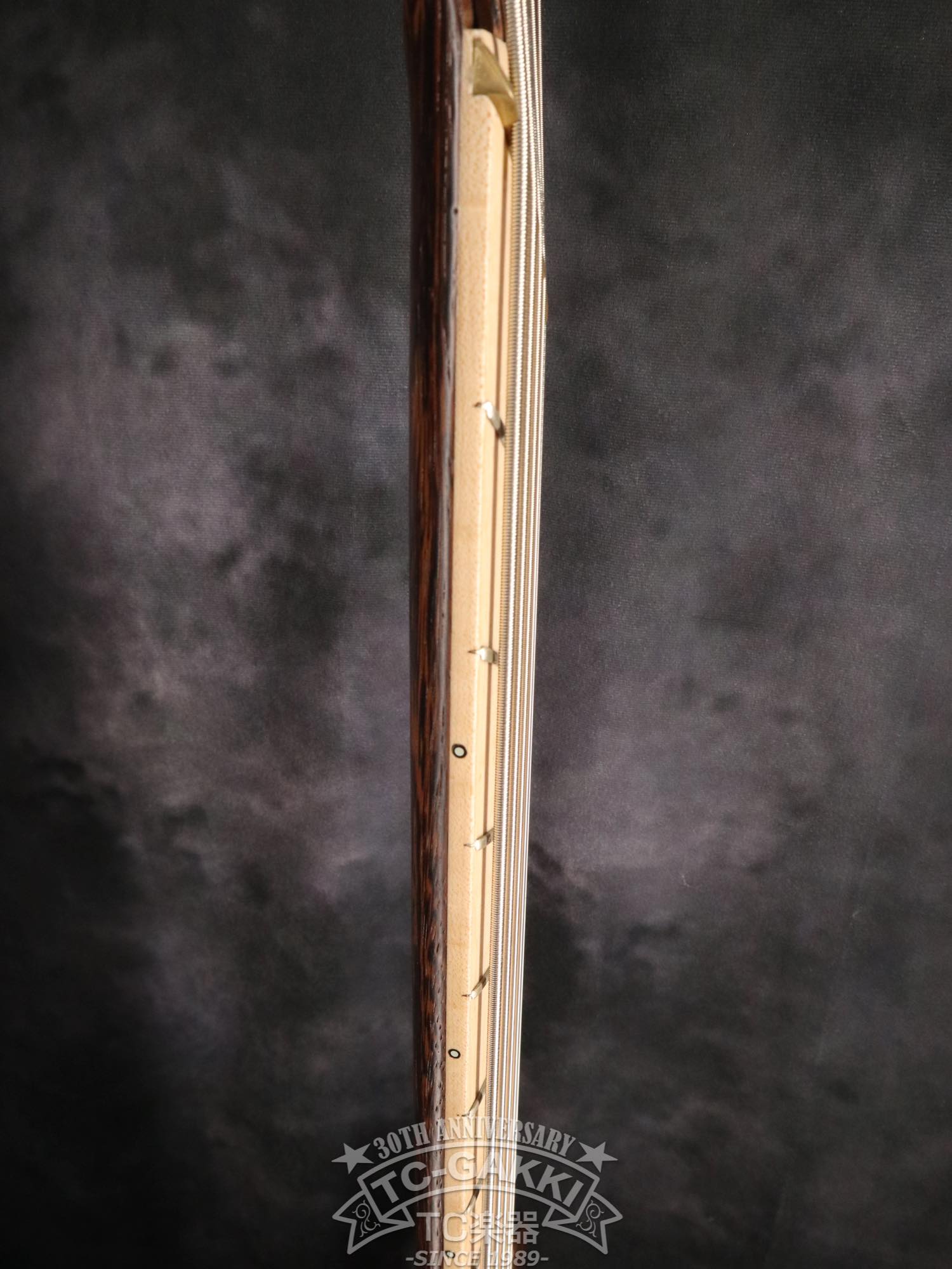 2024 Infinity Rockbird 5 strings - TC楽器 - TCGAKKI