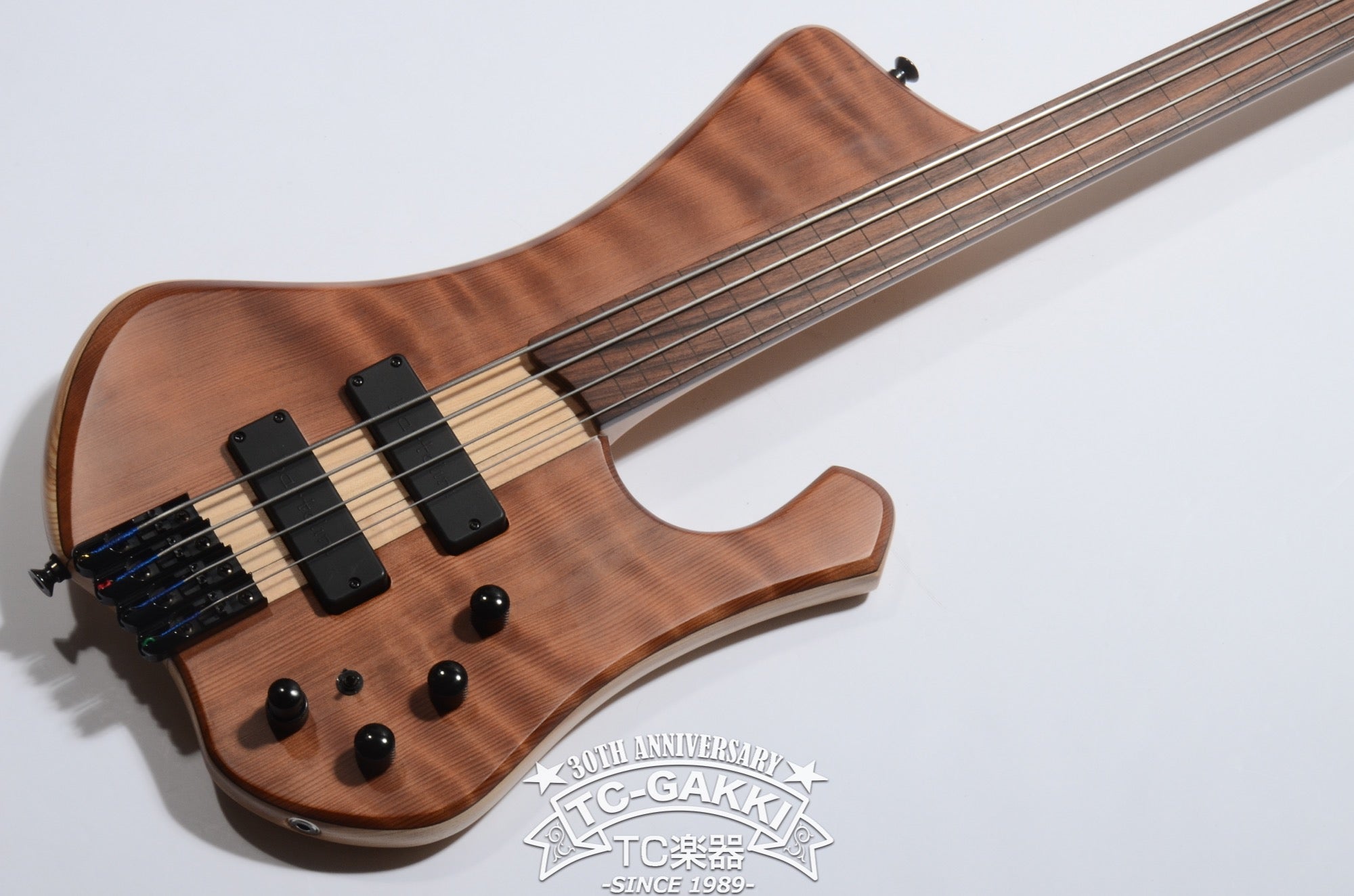 2024 New Extreman Fretless 4