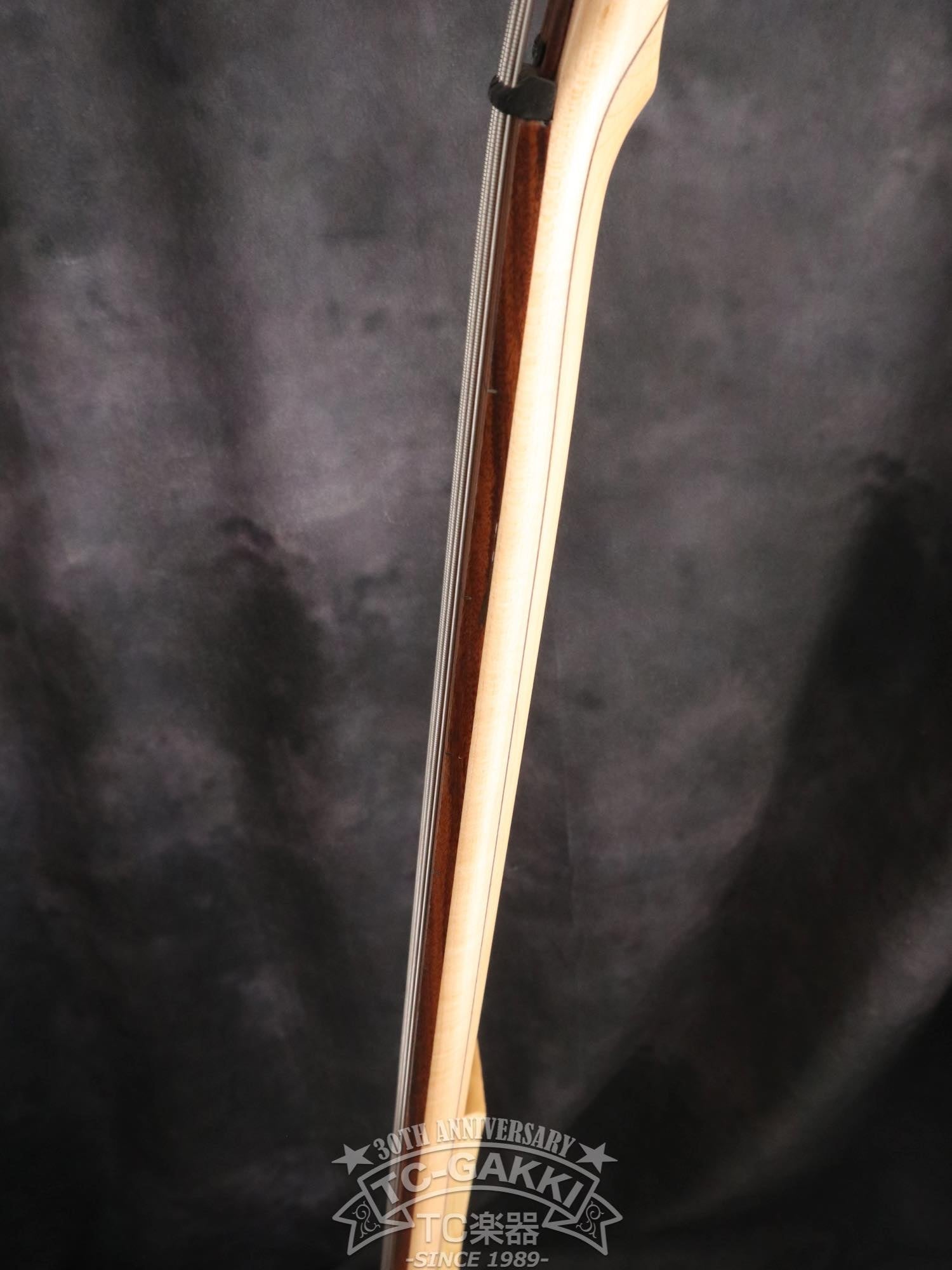 2024 New Extreman Fretless 4 - TC楽器 - TCGAKKI