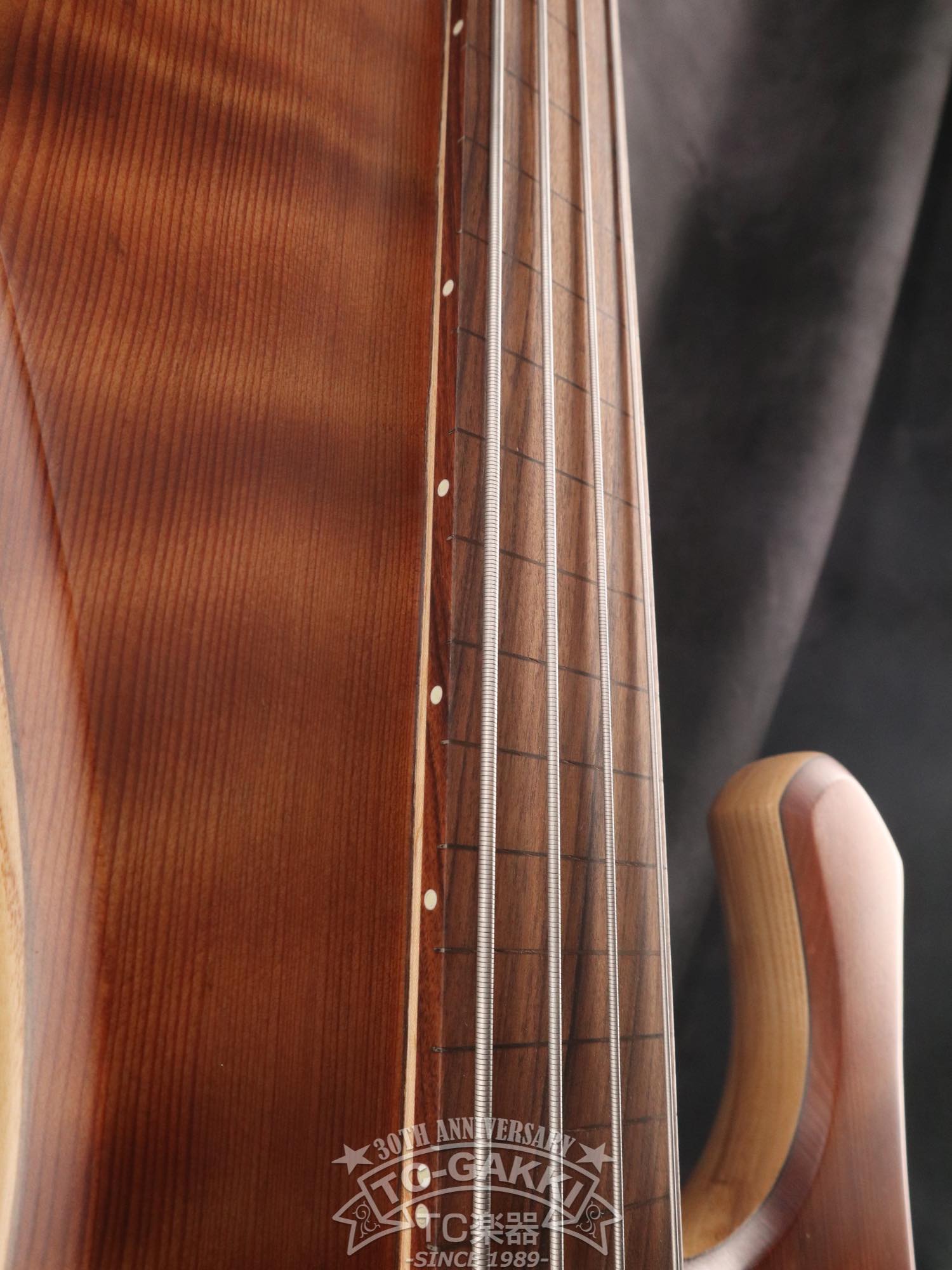 2024 New Extreman Fretless 4 - TC楽器 - TCGAKKI