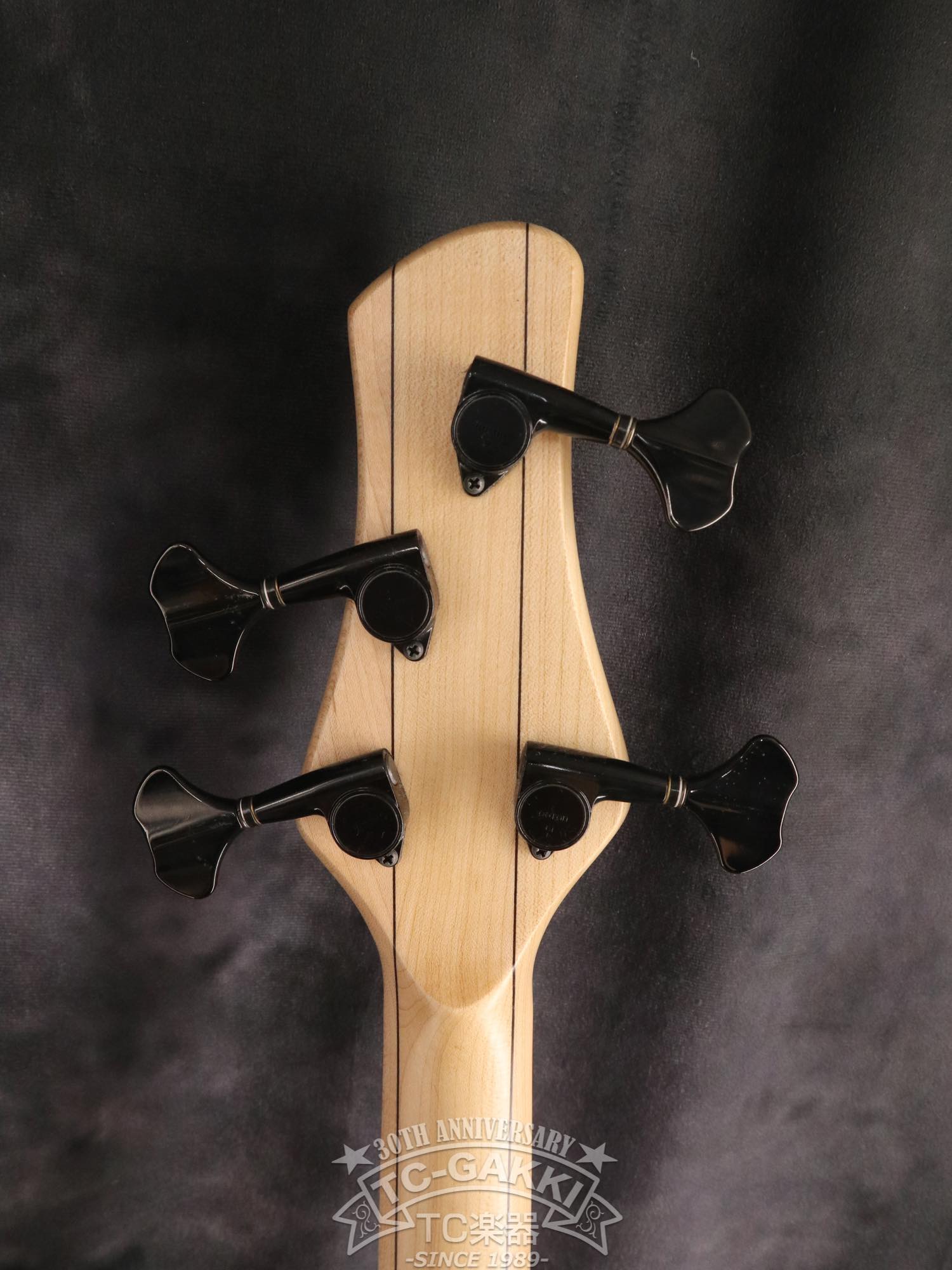 2024 New Extreman Fretless 4 - TC楽器 - TCGAKKI