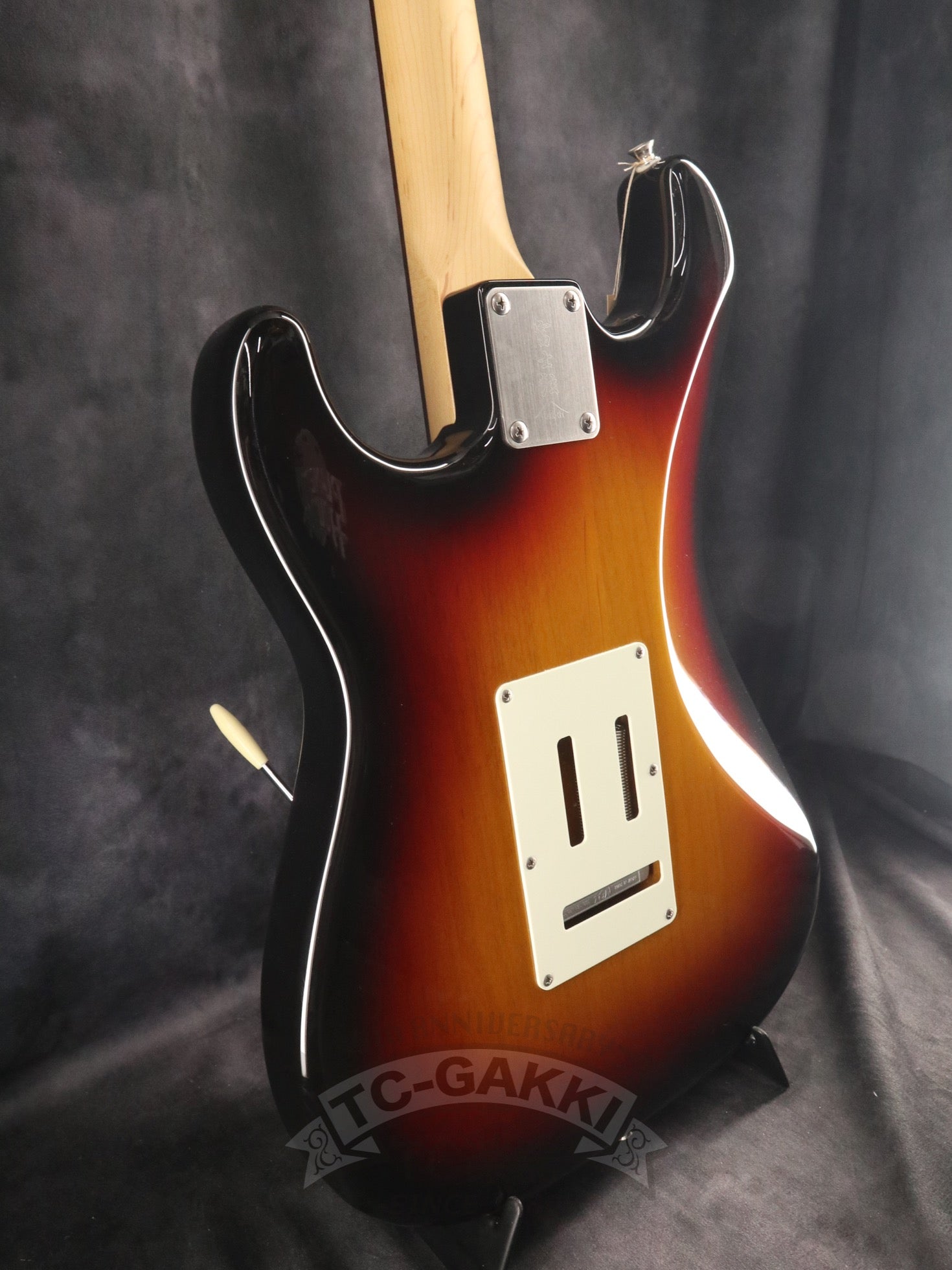2024 NST100RAL Sunburst - TC楽器 - TCGAKKI