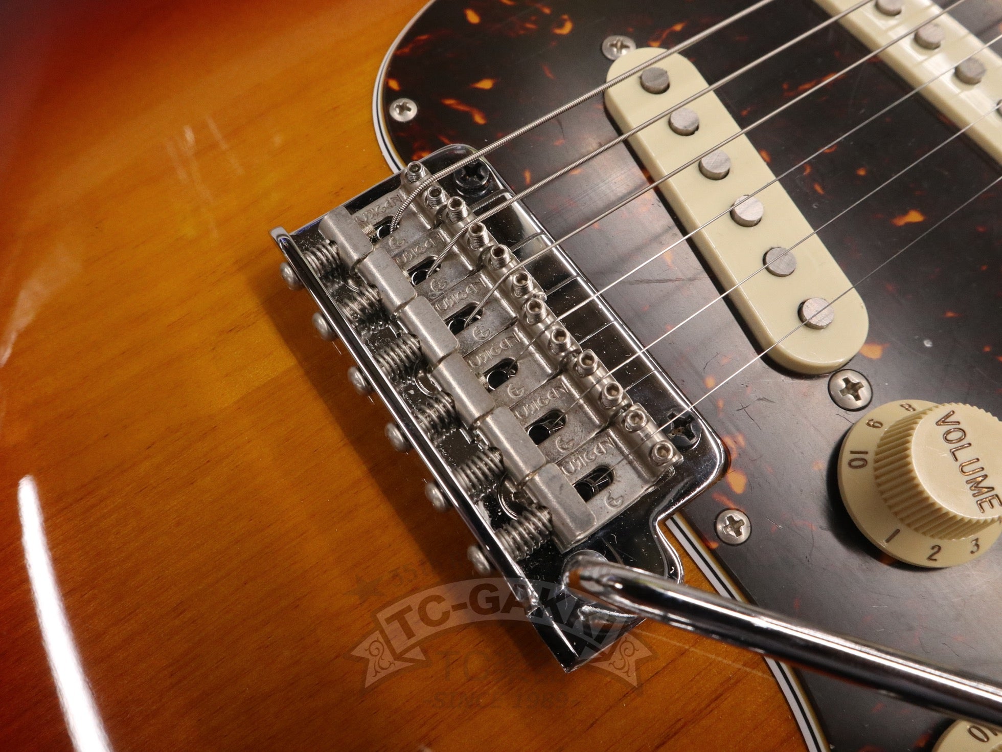 2024 NST100RAL Sunburst - TC楽器 - TCGAKKI