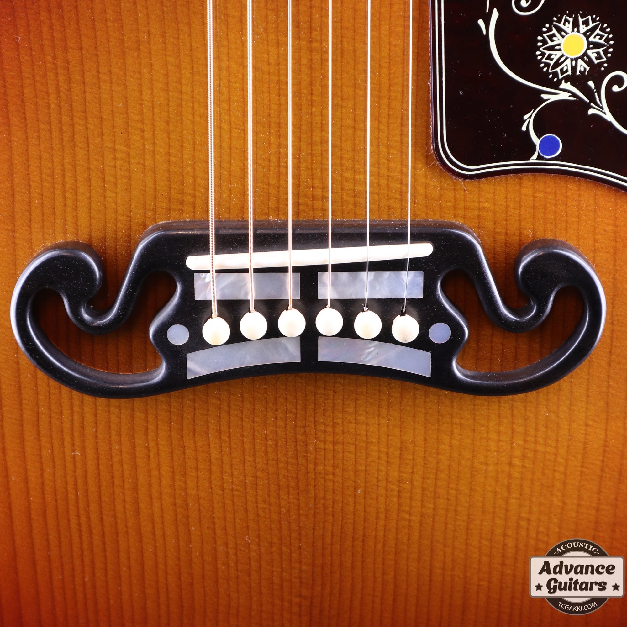 2024年製Pre - War SJ - 200 Rosewood - TC楽器 - TCGAKKI