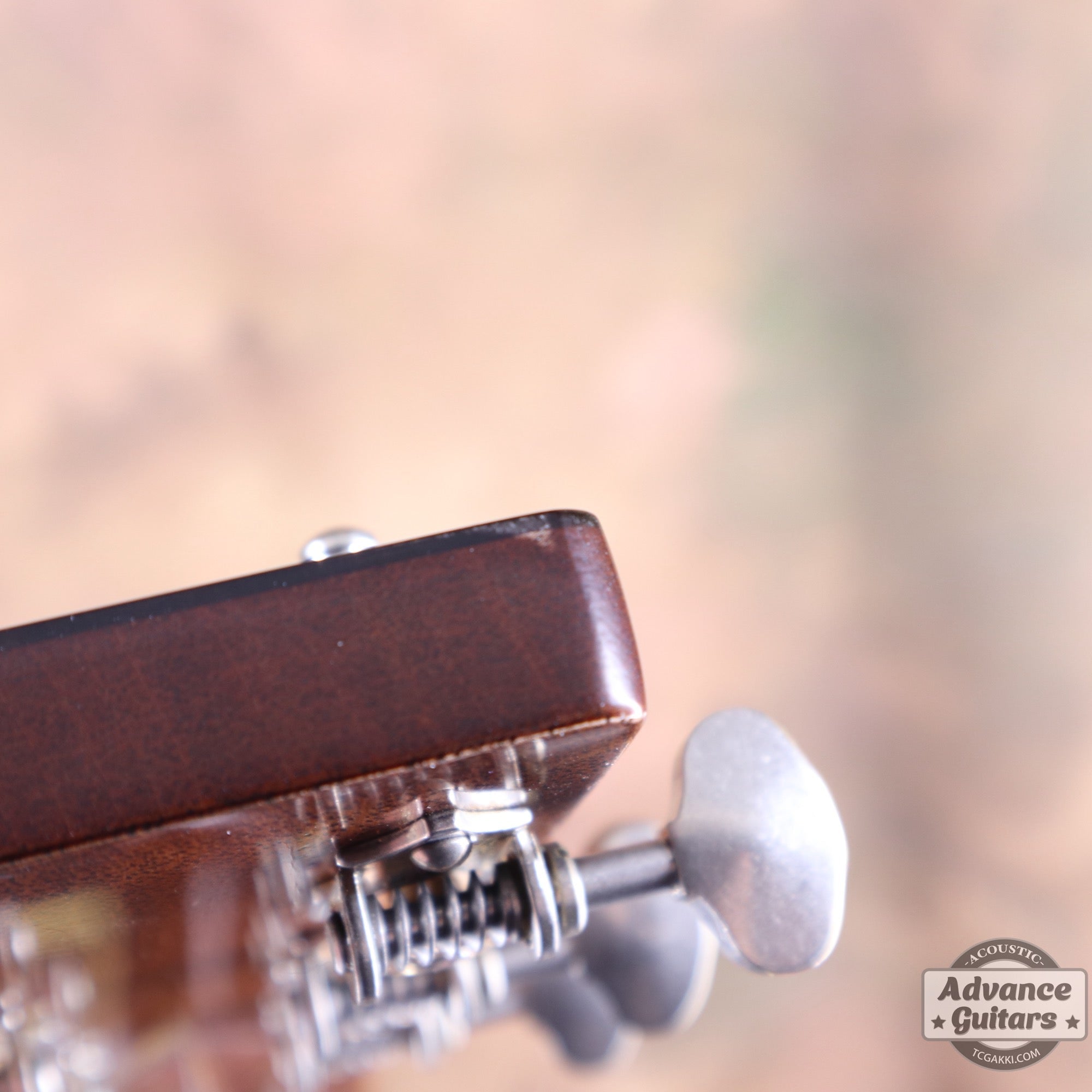 2025年製 CTM D - 28 1937 Brazilian Rosewood - TC楽器 - TCGAKKI