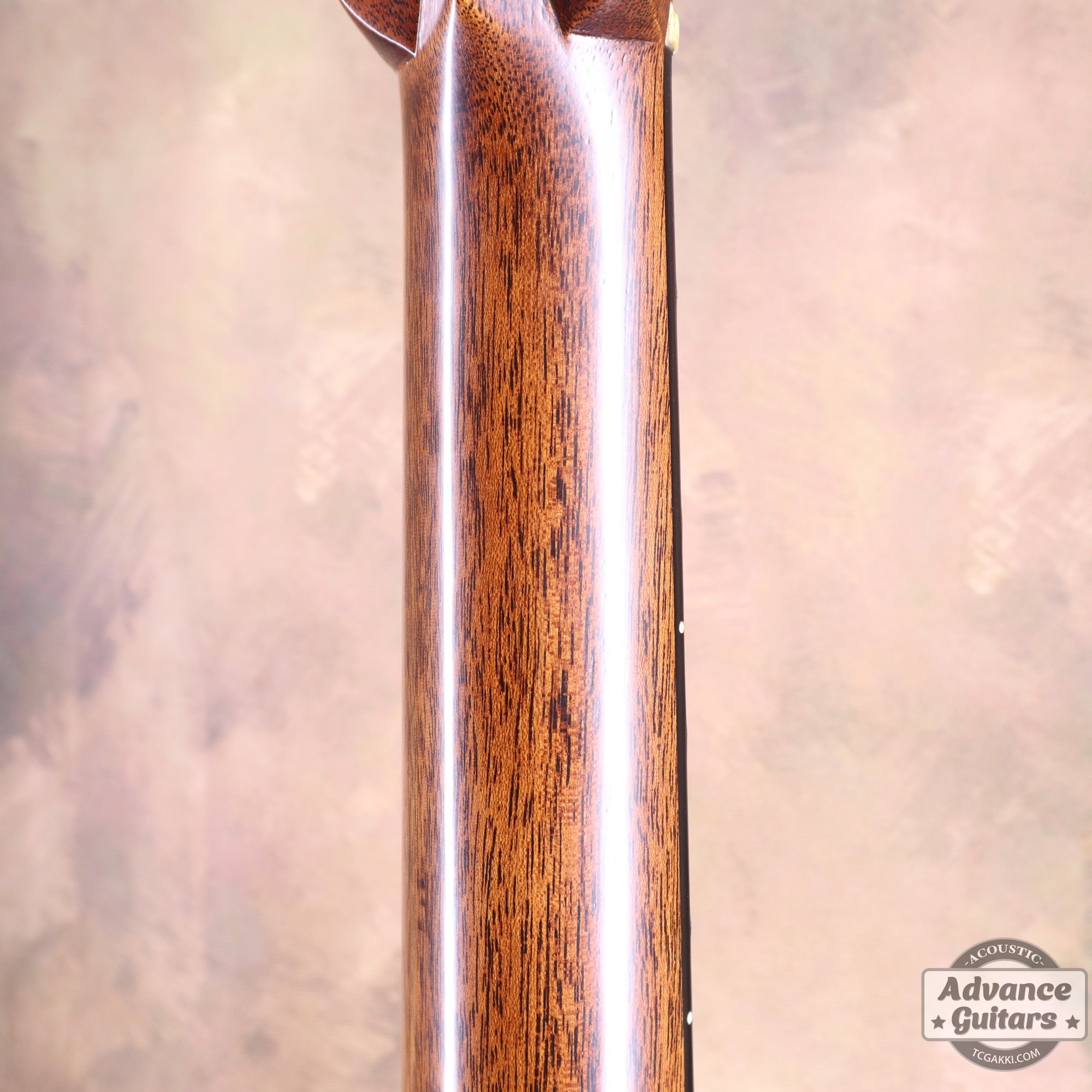 2025年製 CTM D - 28 1937 Brazilian Rosewood - TC楽器 - TCGAKKI