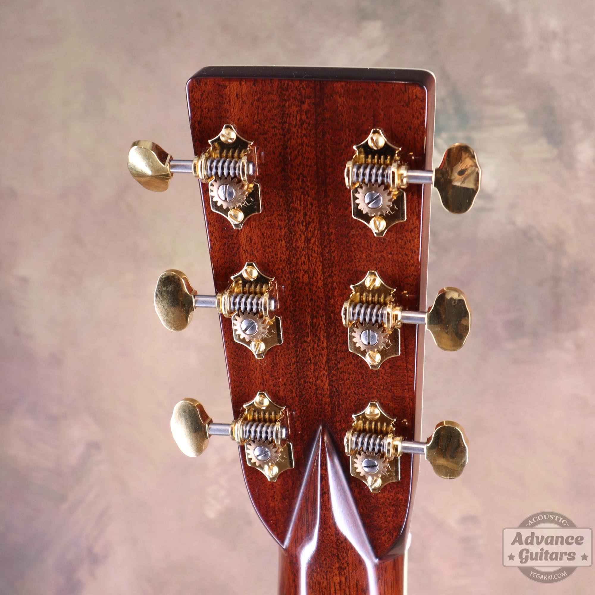 2025年製 OM - 5 - TC楽器 - TCGAKKI