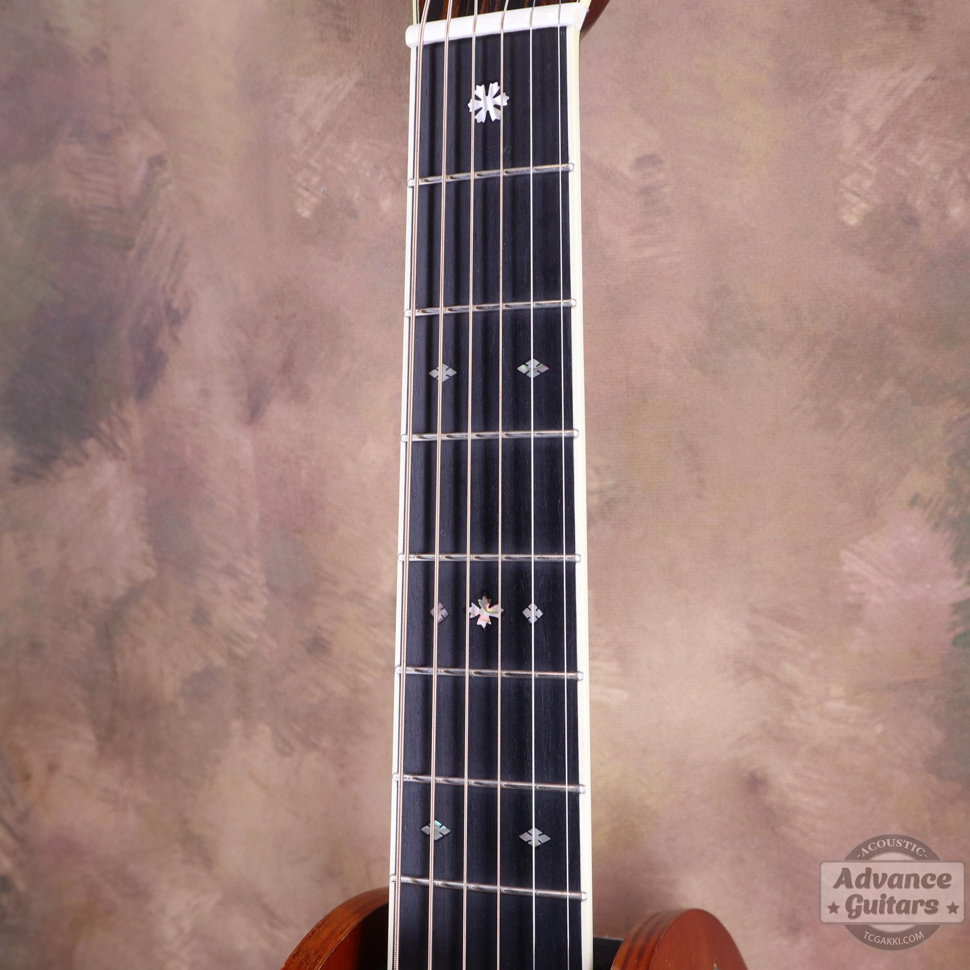 2025年製 OM - 5 - TC楽器 - TCGAKKI