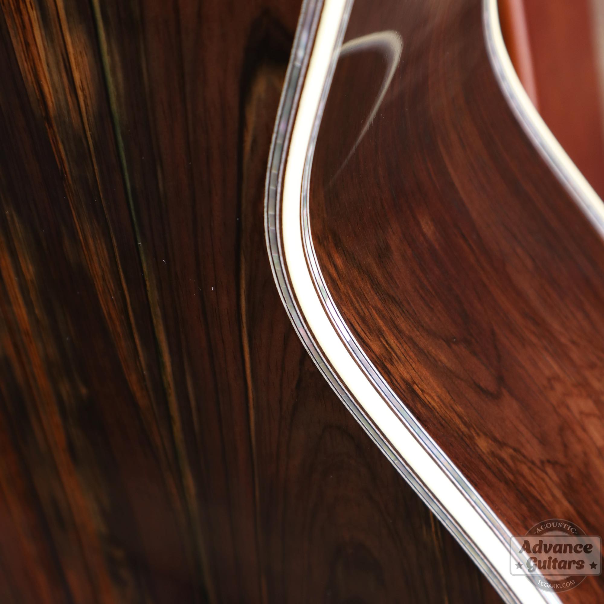 2025年製 OM - 5 - TC楽器 - TCGAKKI