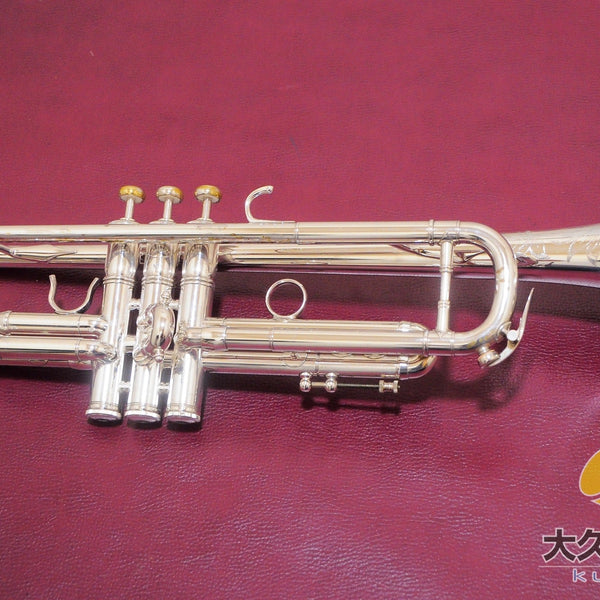 50th-anniversary-3x-bsp-b-
