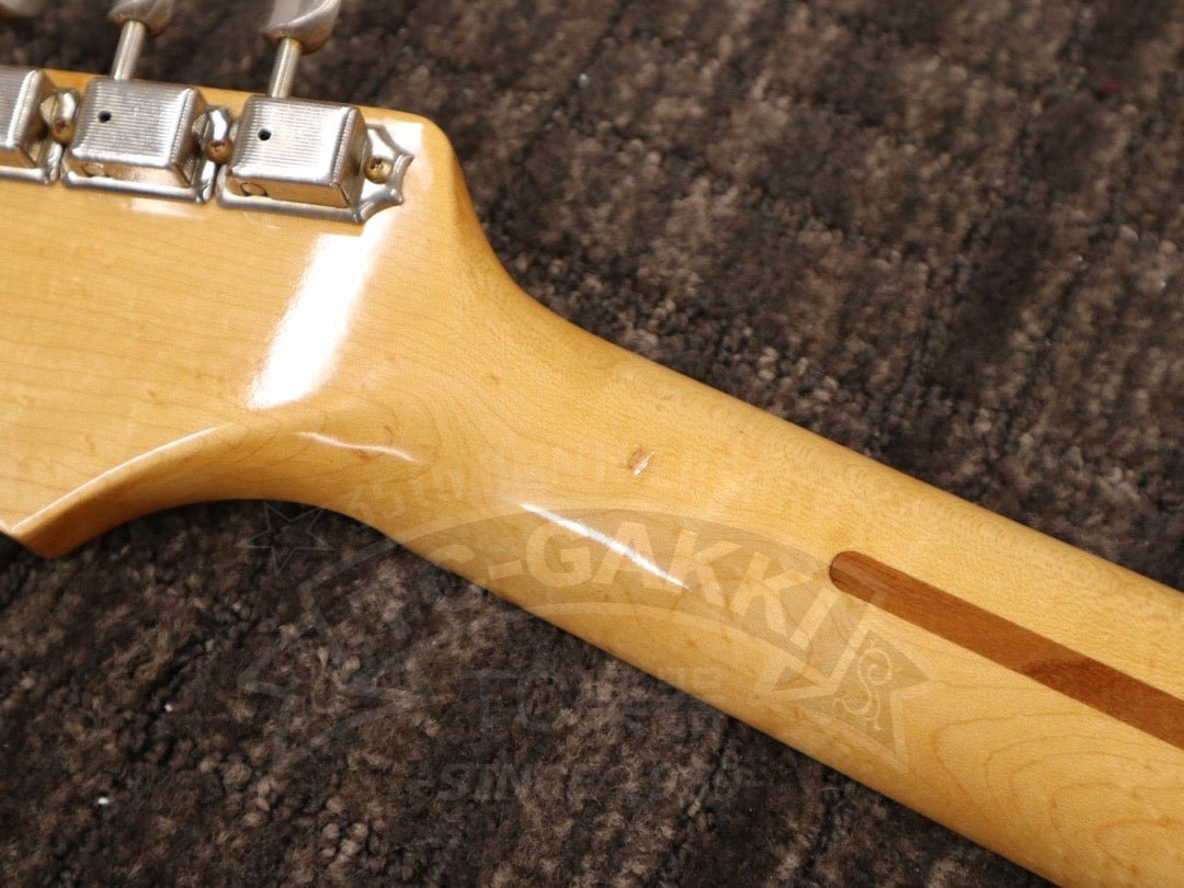 ‘54 Stratocaster - TC楽器 - TCGAKKI