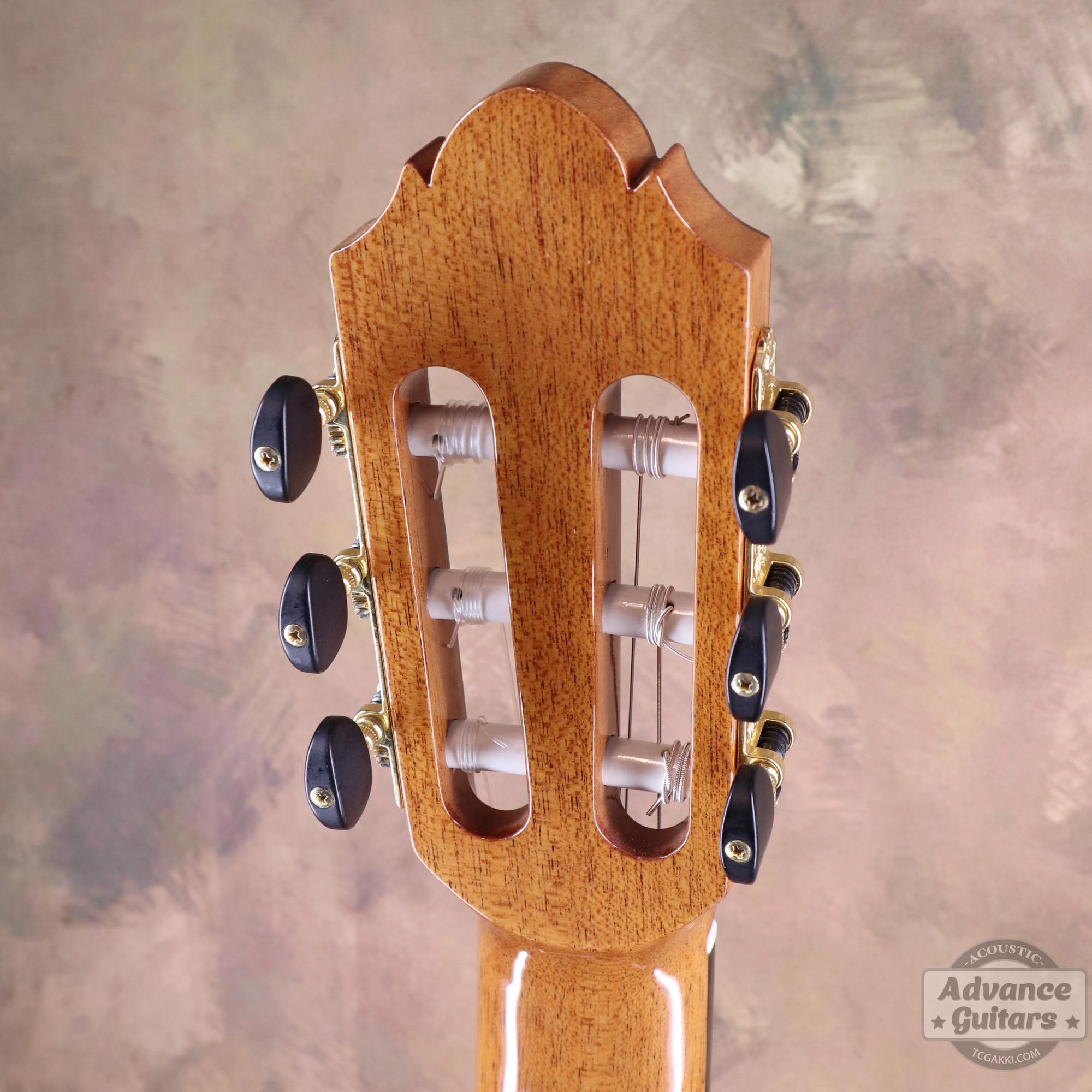 710S - TC楽器 - TCGAKKI