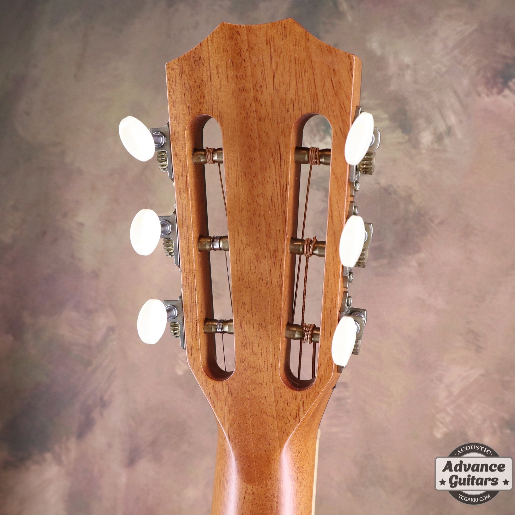 812e 12Fret - TC楽器 - TCGAKKI