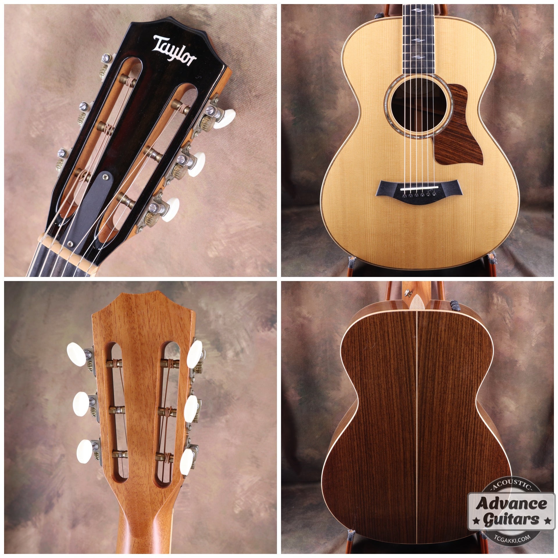 812e 12Fret - TC楽器 - TCGAKKI