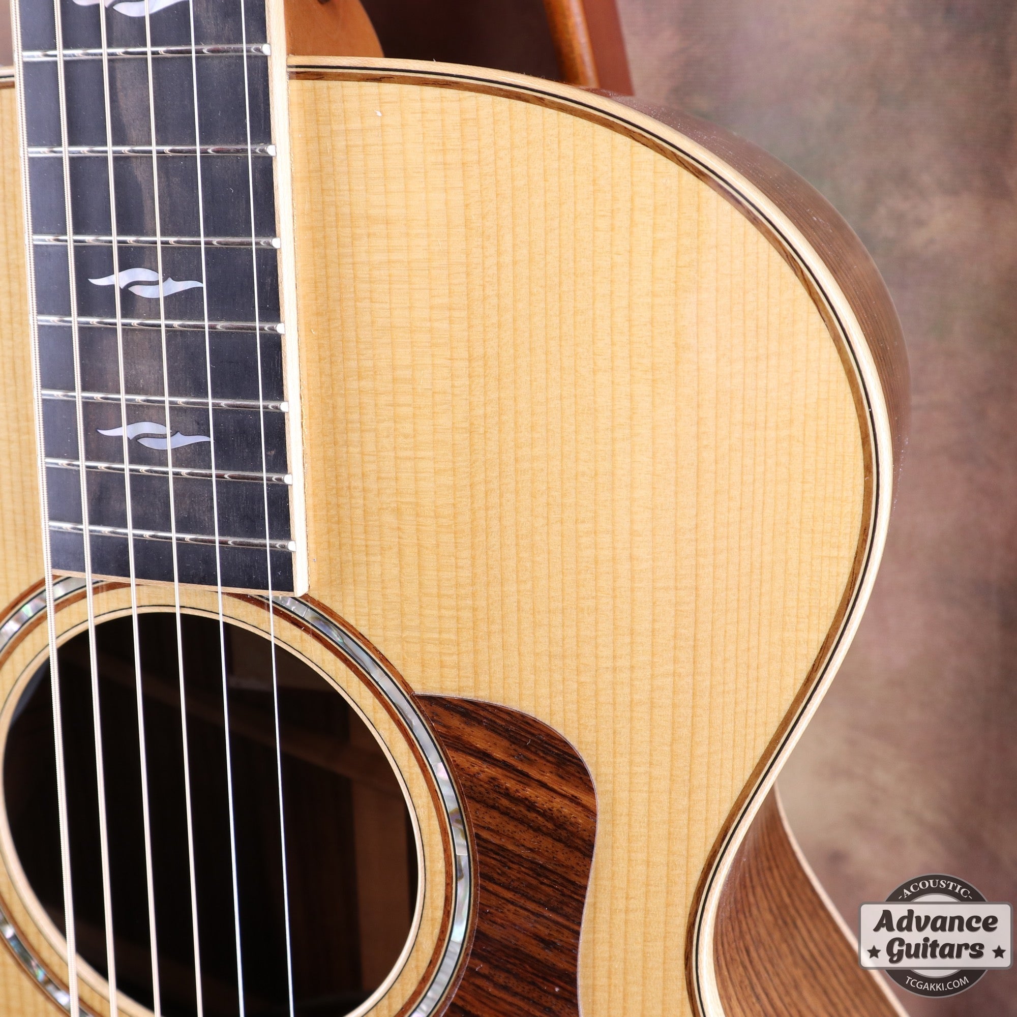 812e 12Fret - TC楽器 - TCGAKKI