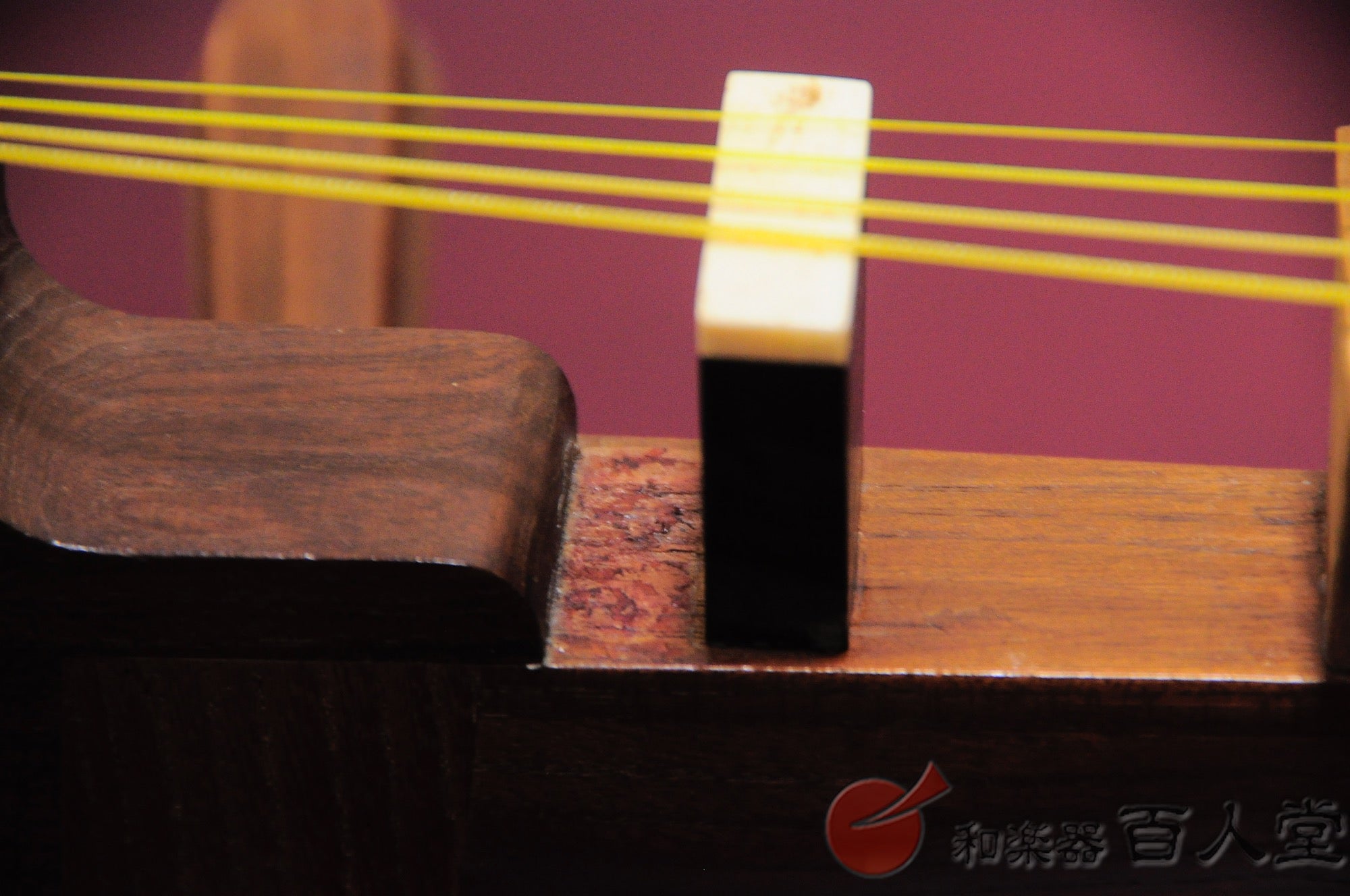 Nishiki biwa (biwa Satsuma de cinco cuerdas)