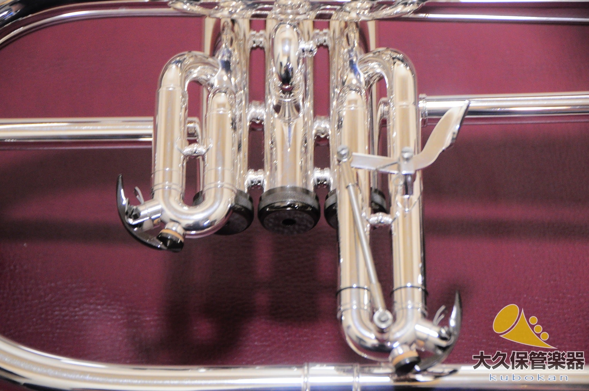 Brasspire Unicorn BPFG-850BS Black Nickel Trim Flugelhorn (New)