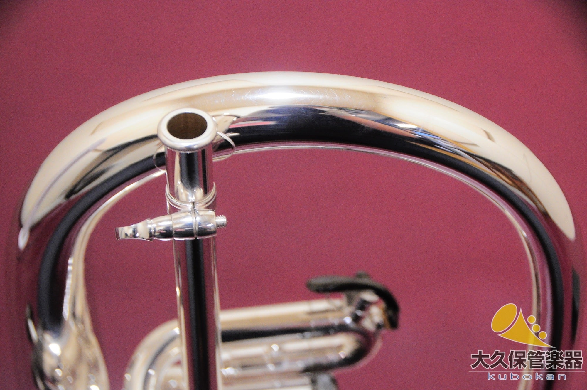 Brasspire Unicorn BPFG-850BS Black Nickel Trim Flugelhorn (New)