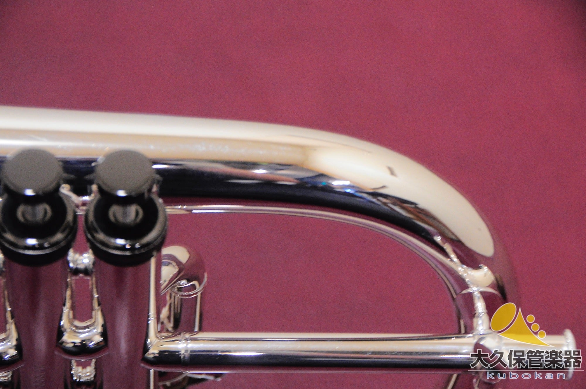 Brasspire Unicorn BPFG-850BS Black Nickel Trim Flugelhorn (New)