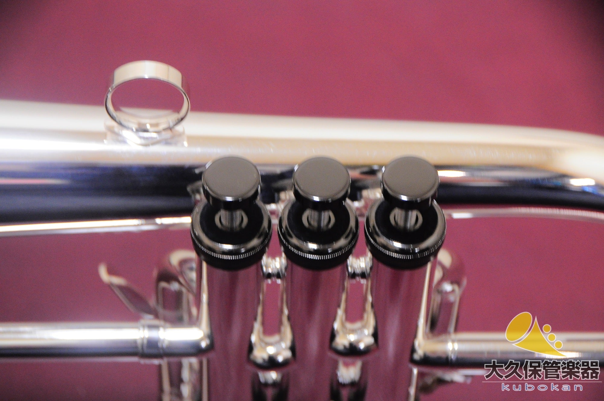 Brasspire Unicorn BPFG-850BS Black Nickel Trim Flugelhorn (New)