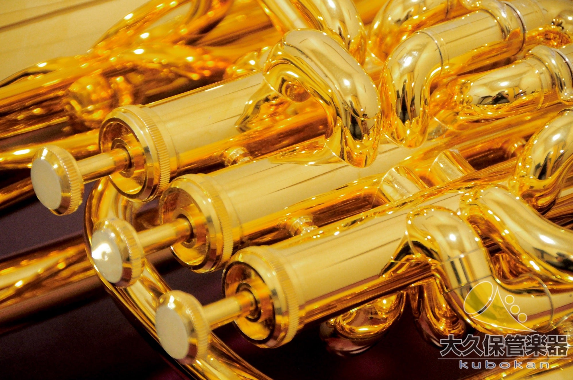 Wilson TA2900BS/GP Euphonium