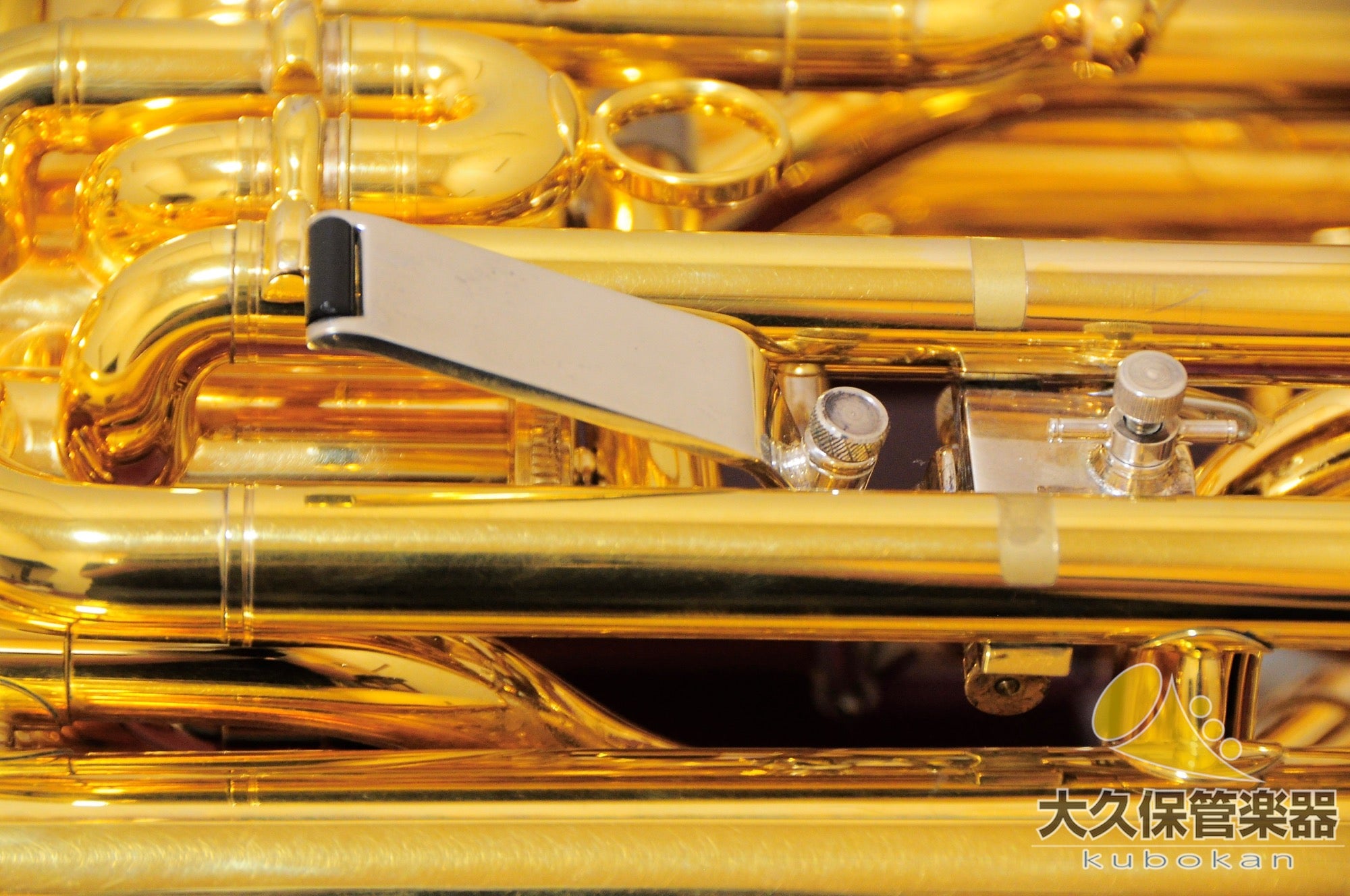 Wilson TA2900BS/GP Euphonium