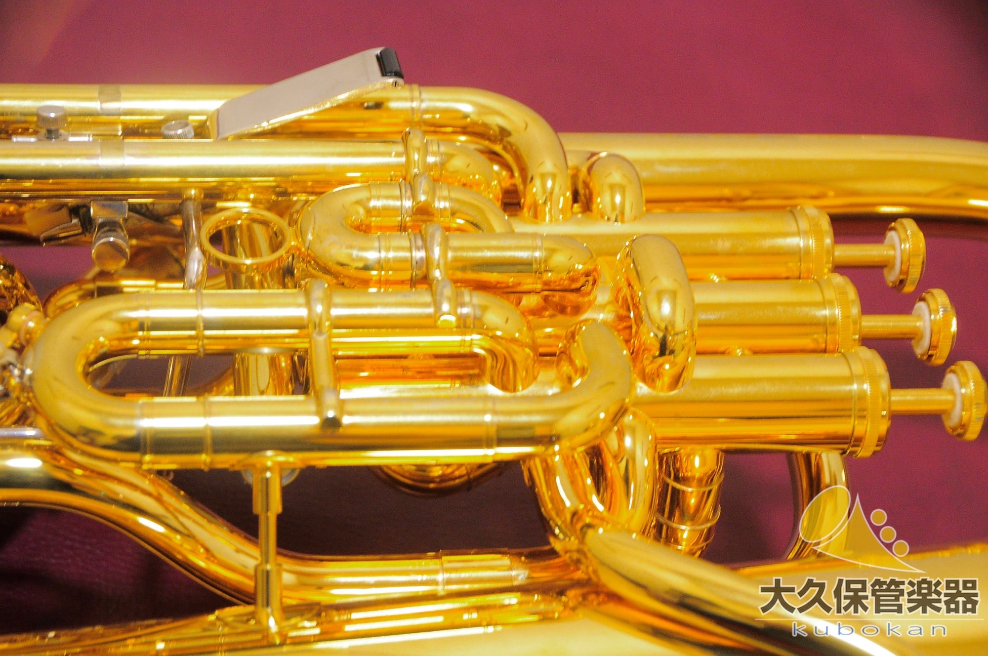 Wilson TA2900BS/GP Euphonium